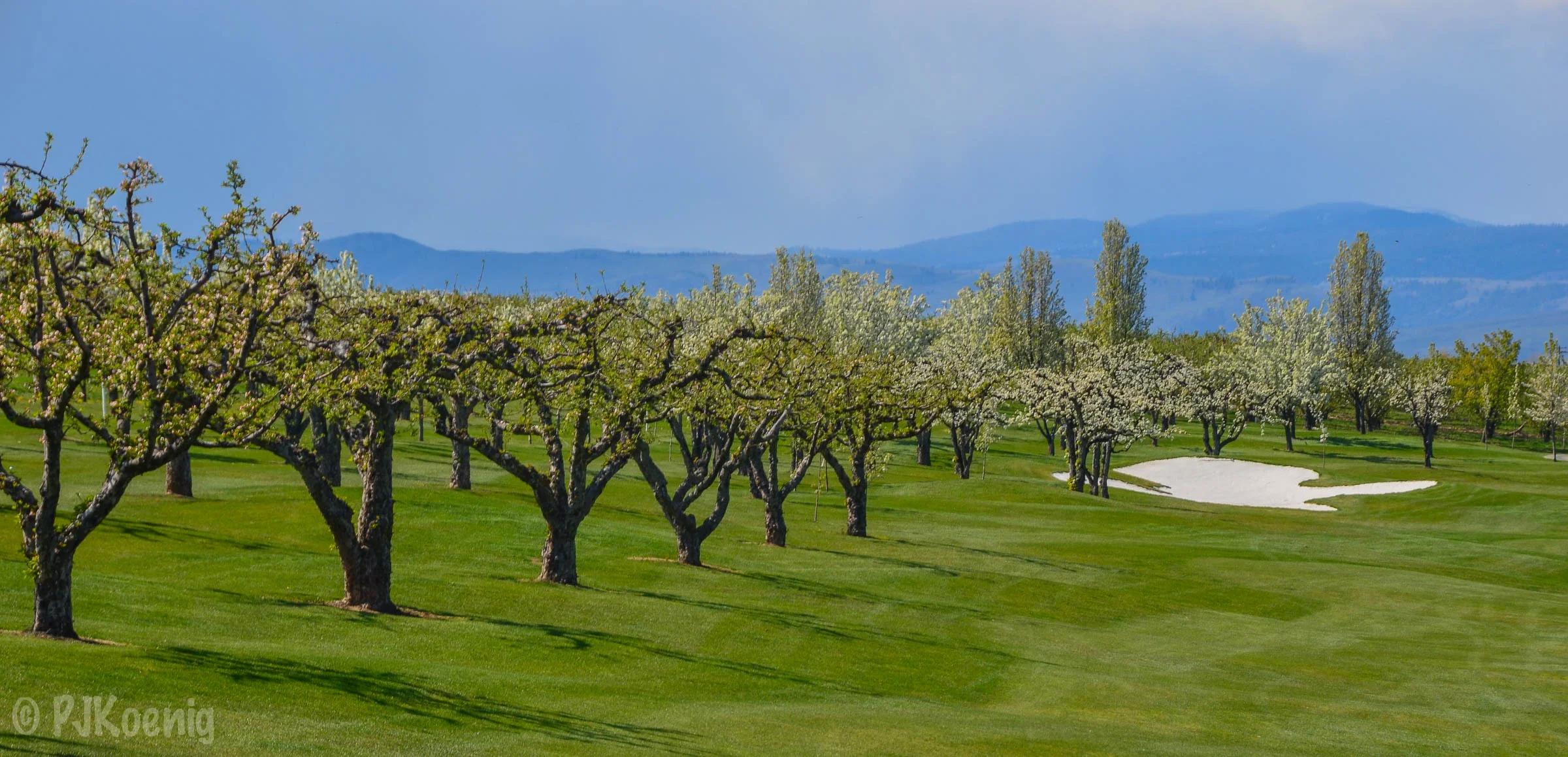 Apple Tree Golf Resort1-4.jpg