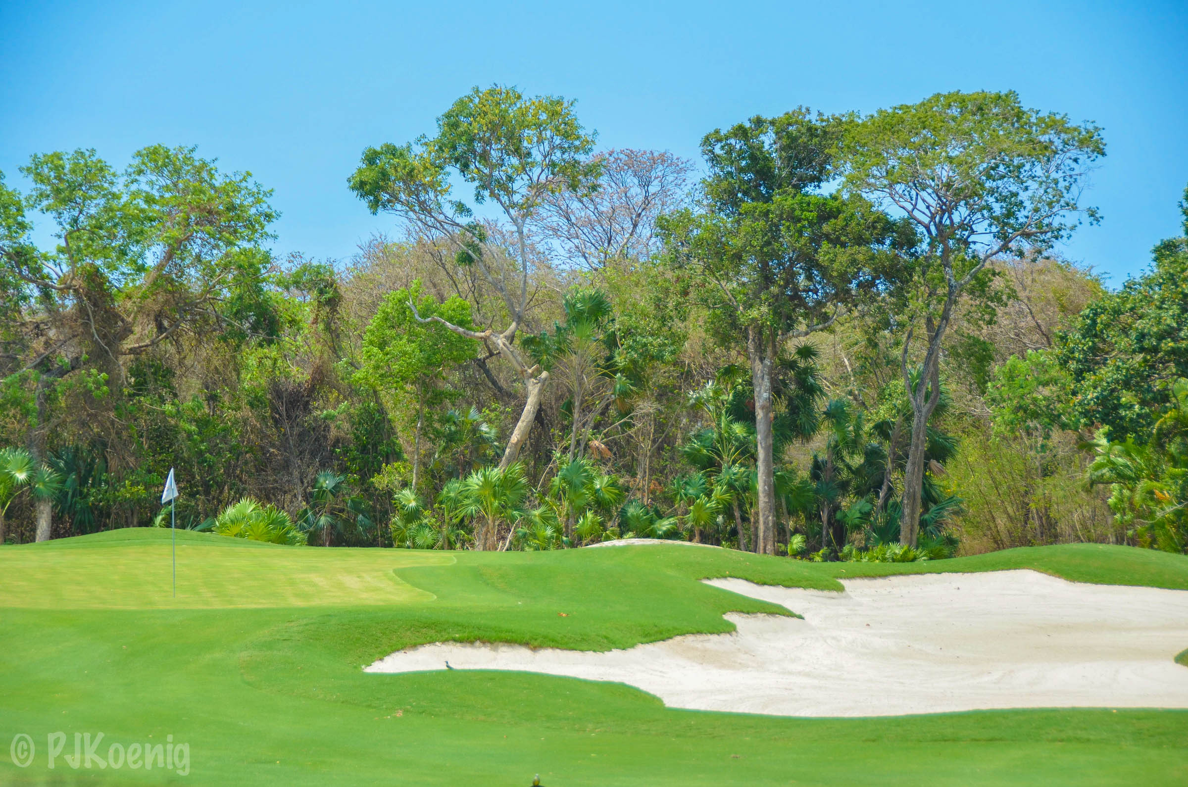 Hard Rock Golf Club1-4.jpg