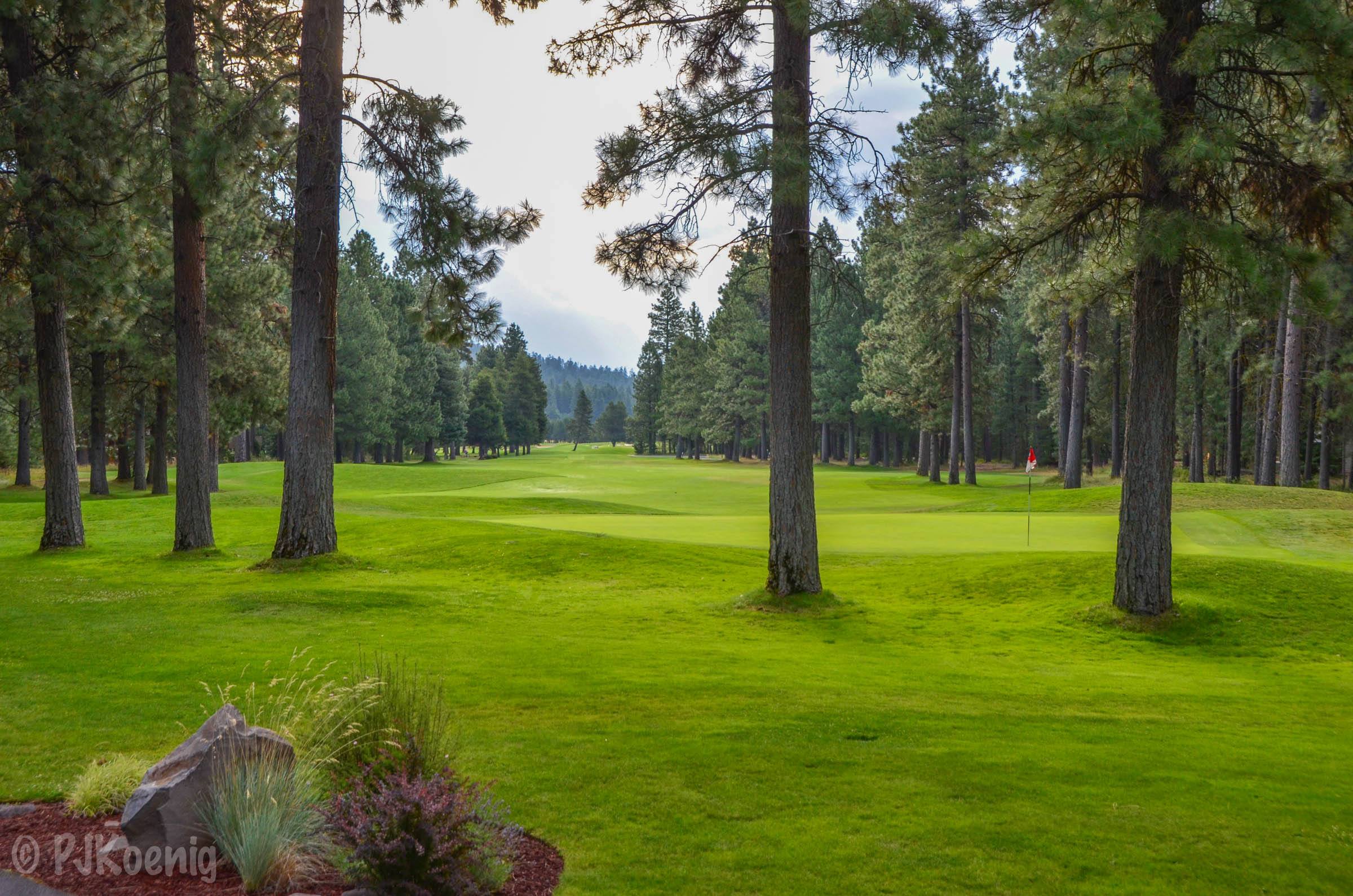 Black Butte Ranch - Big Meadow1-2.jpg