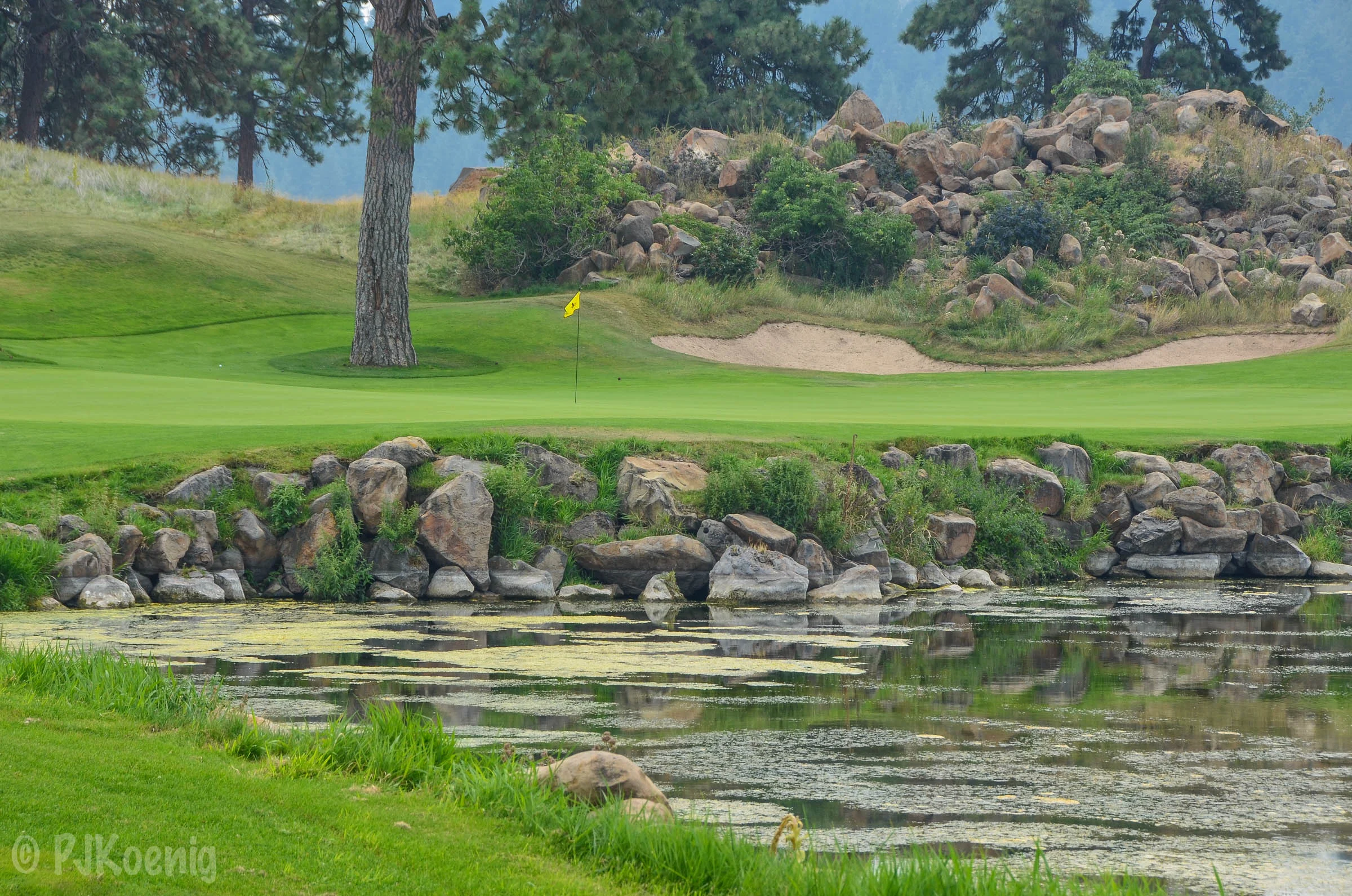 Runniny Y Ranch1-18.jpg