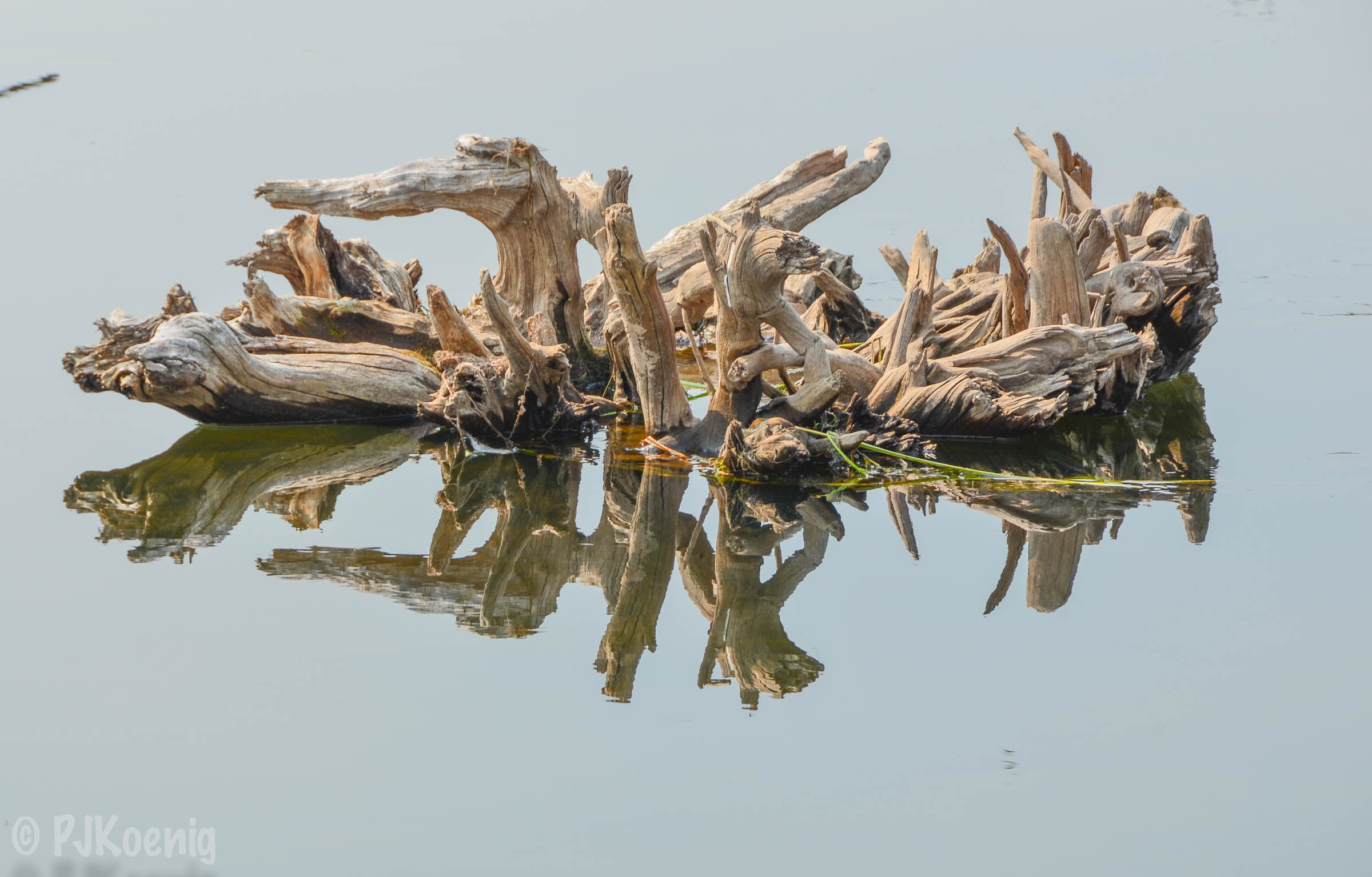 Crosswater1-39.jpg