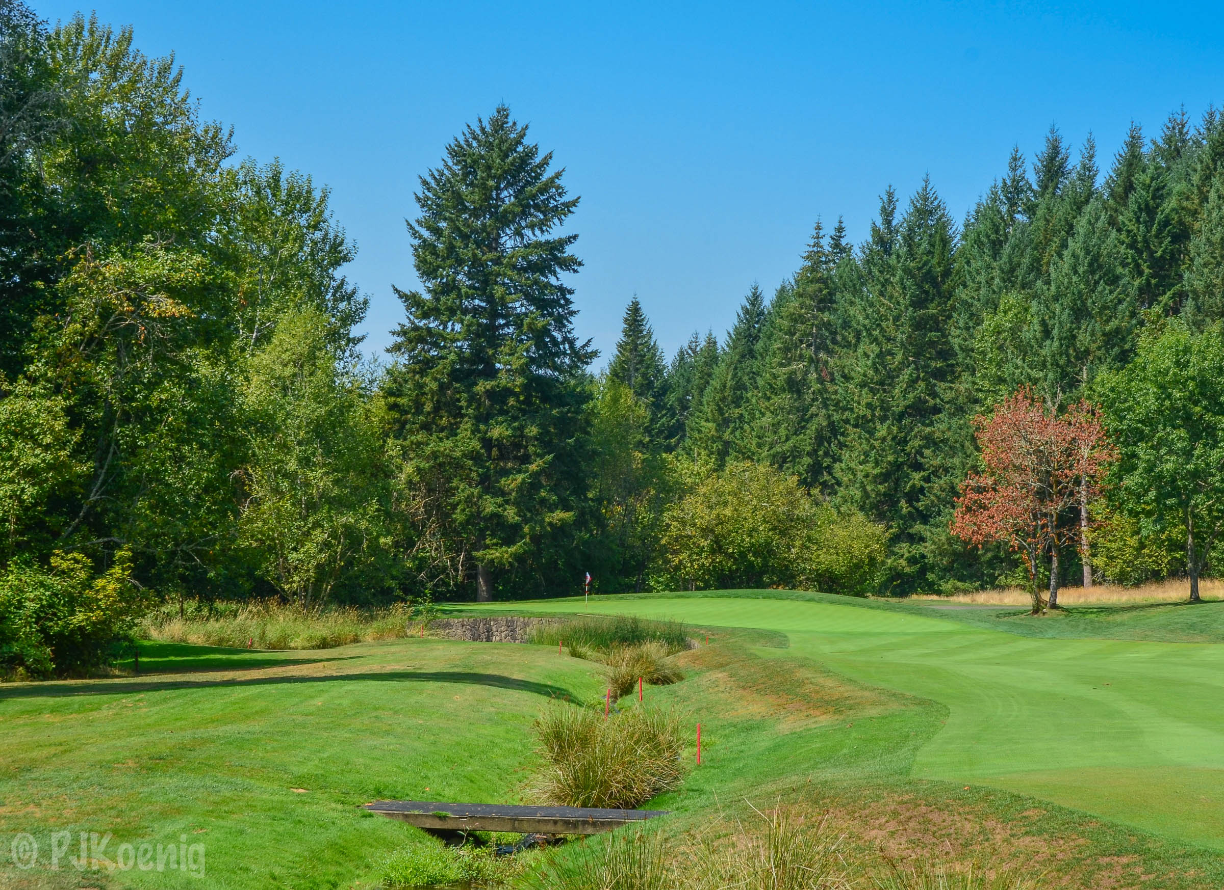 Pumpkin Ridge - Witch Hollow1-10.jpg