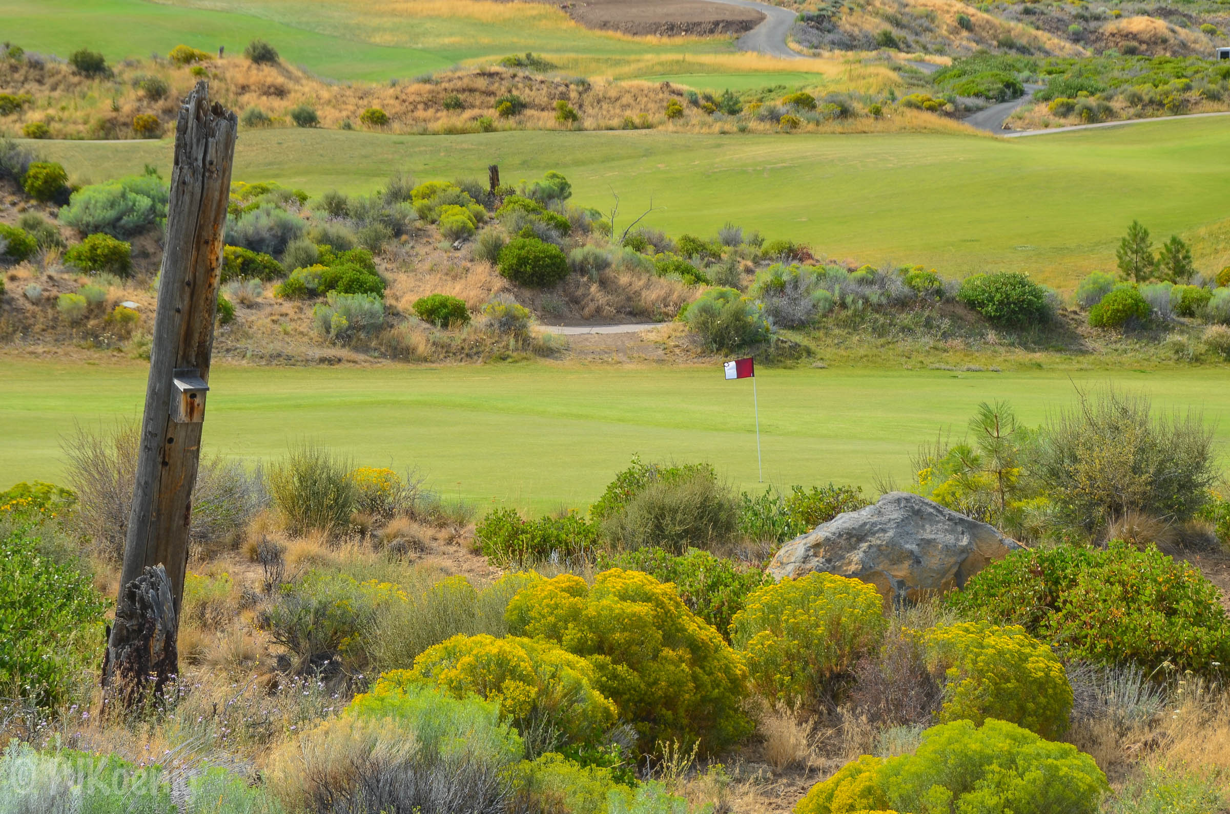 The 18th hole at Tetherow