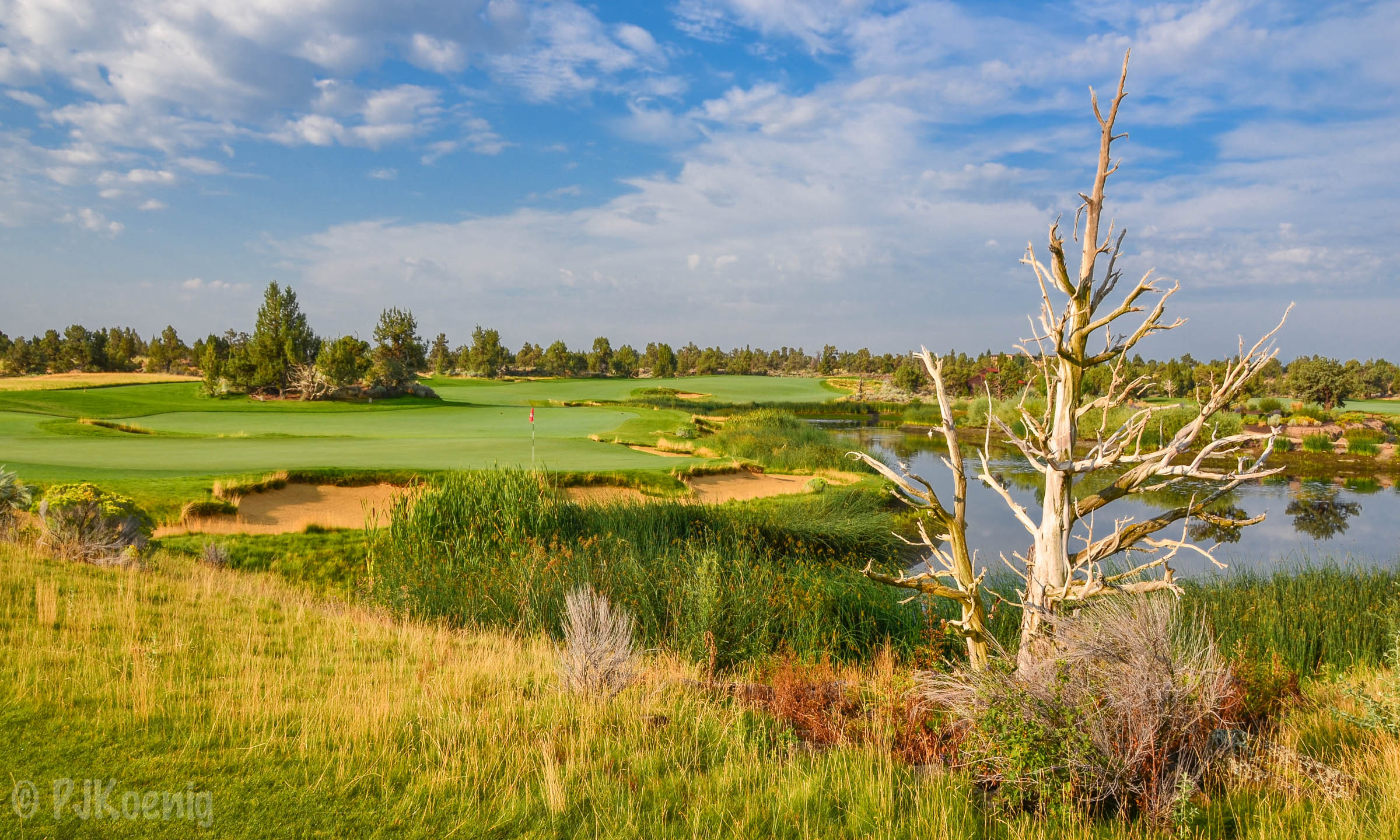 My favorite photo from the trip comes from #18 at Pronghorn. This photo pretty much took itself.