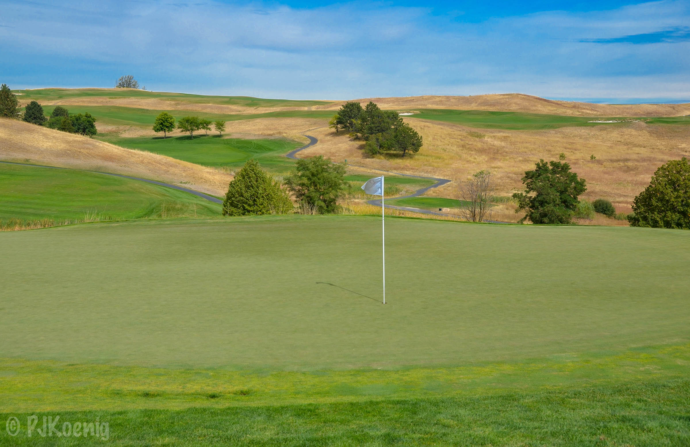 Palouse Ridge1-6.jpg