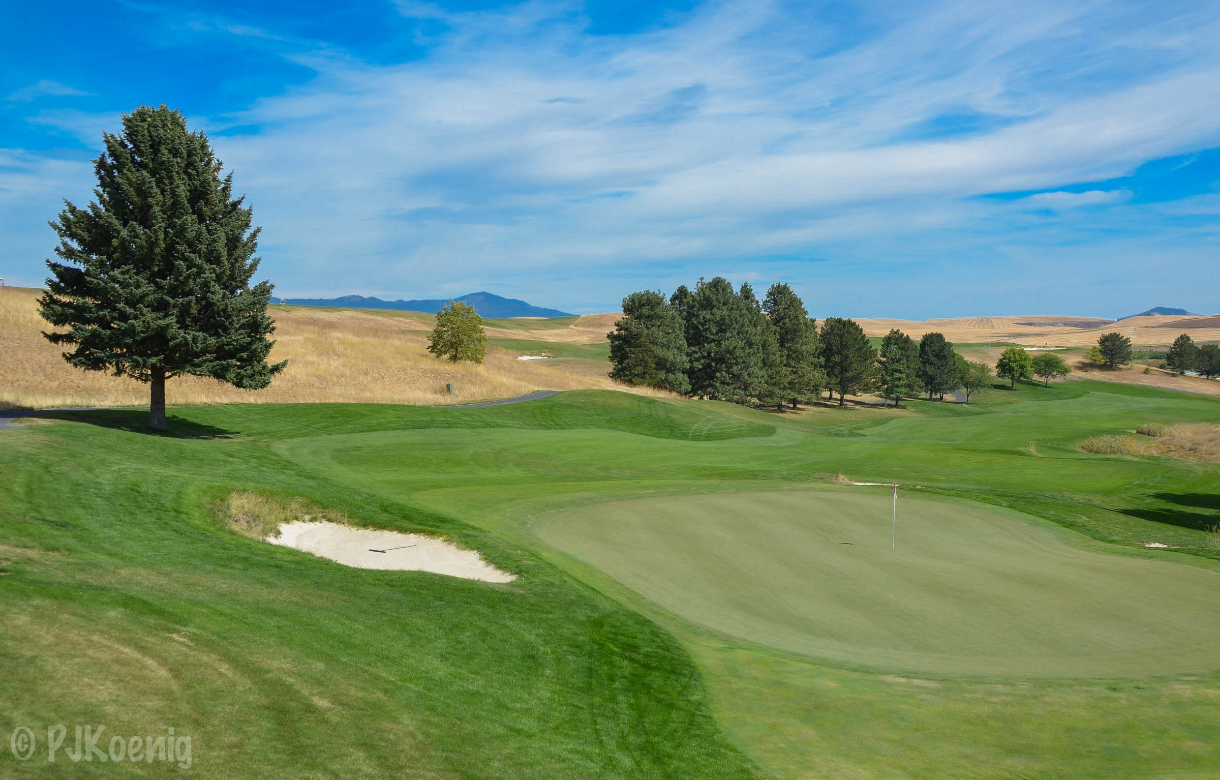 Palouse Ridge1-31.jpg