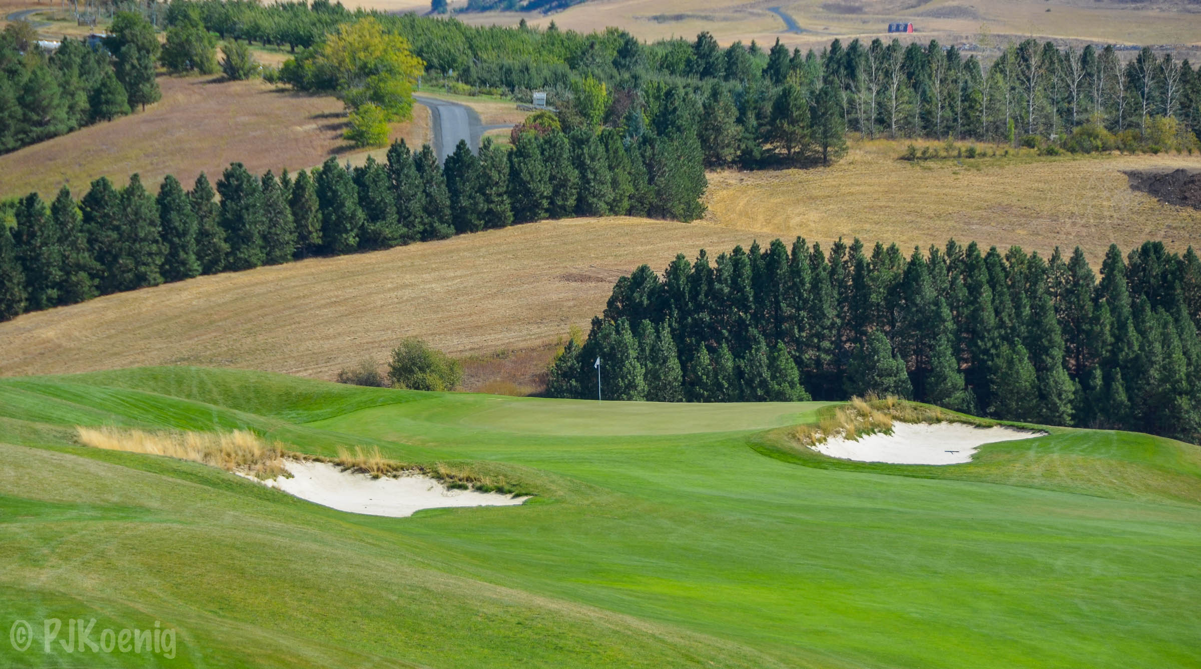 Palouse Ridge1-41.jpg
