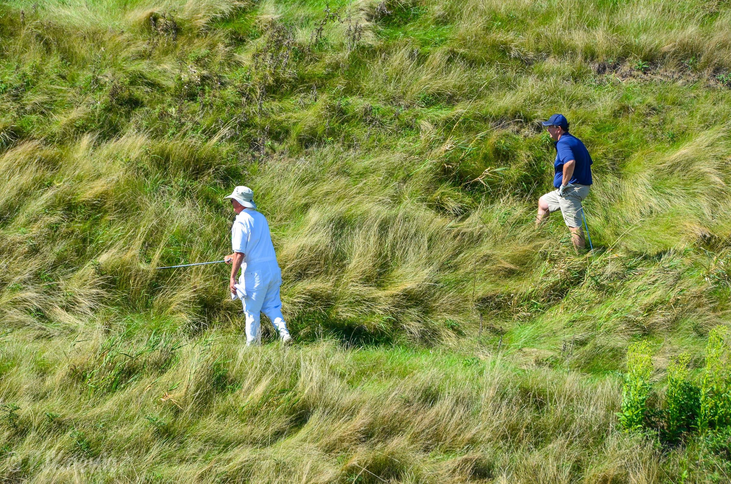 Plenty of tall fescue to hunt down wayward teeshots on Whistling Straits' Irish course.