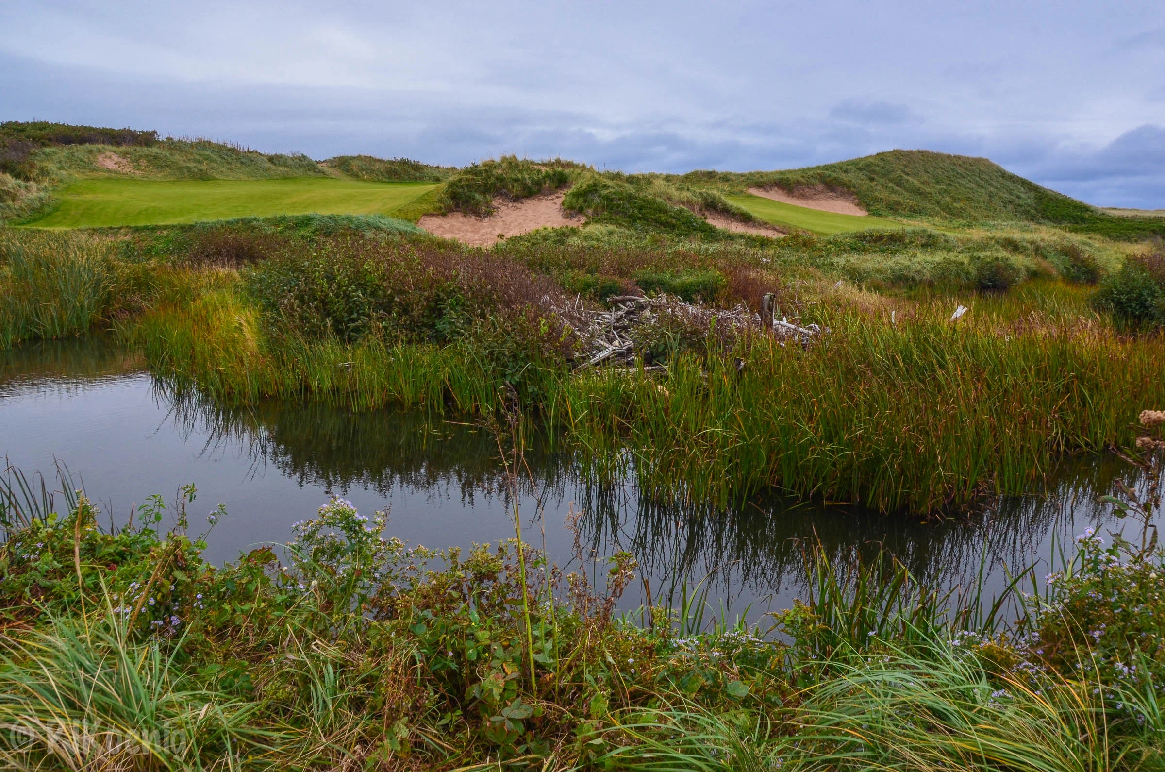 Cabot Cliffs1-15.jpg