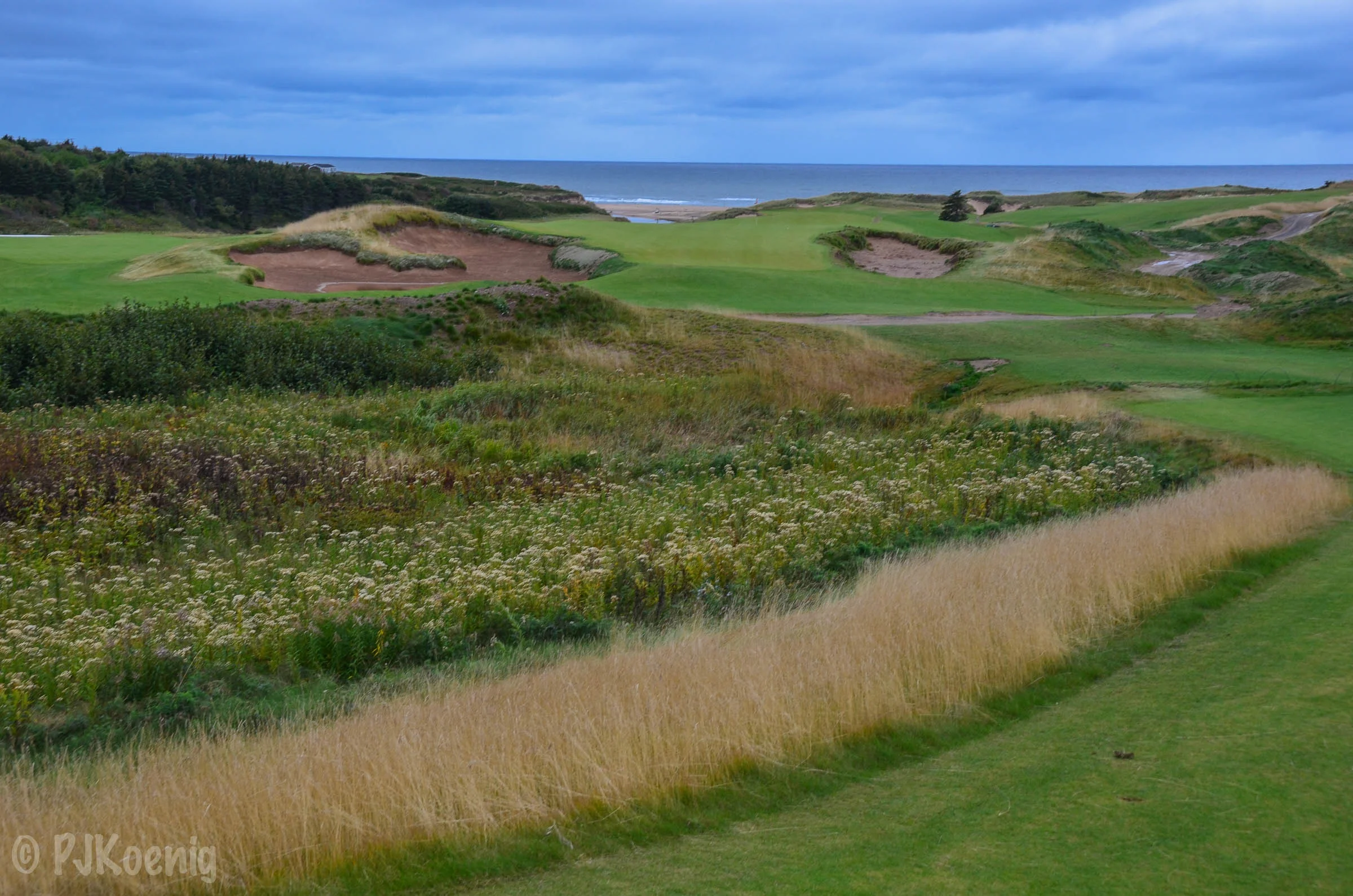 Cabot Cliffs1-31.jpg