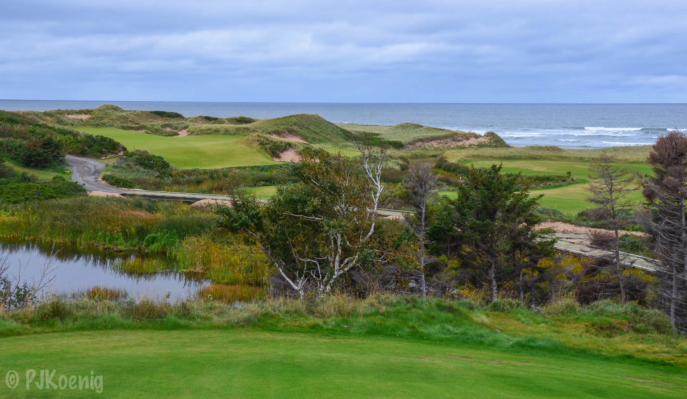 Cabot Cliffs1-42.jpg
