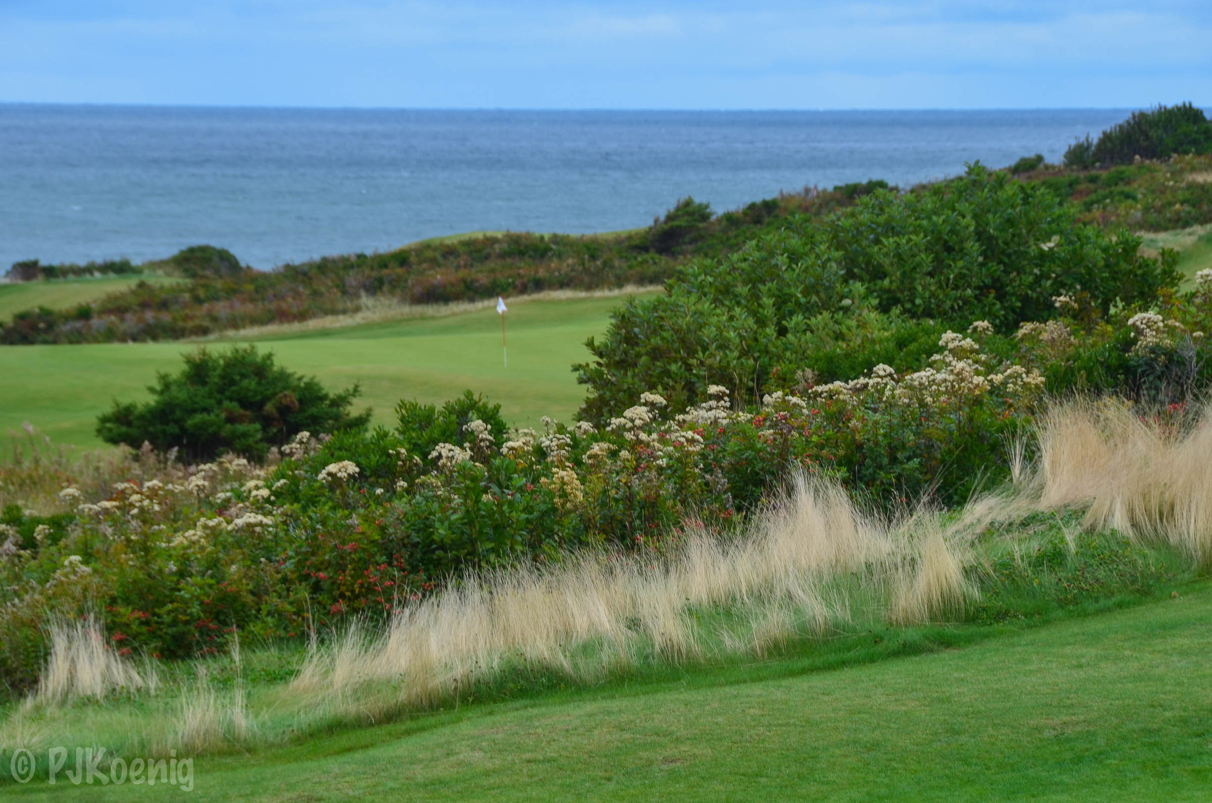 Cabot Cliffs1-63.jpg