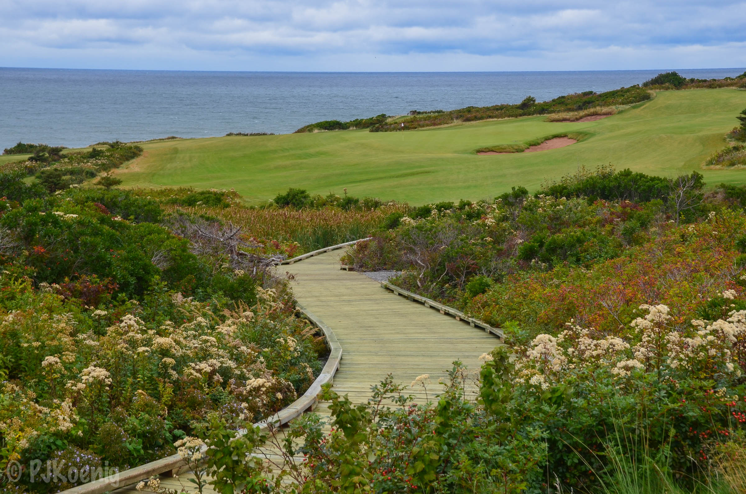 Cabot Cliffs1-66.jpg