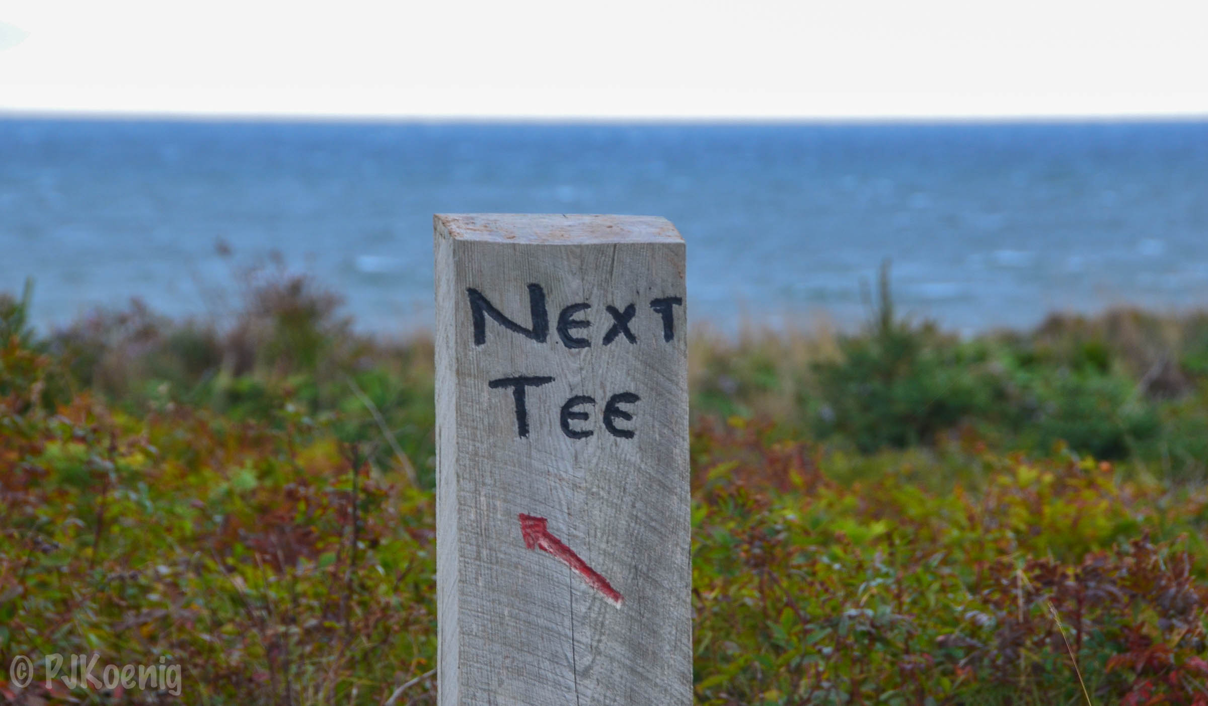 Cabot Links1-57.jpg
