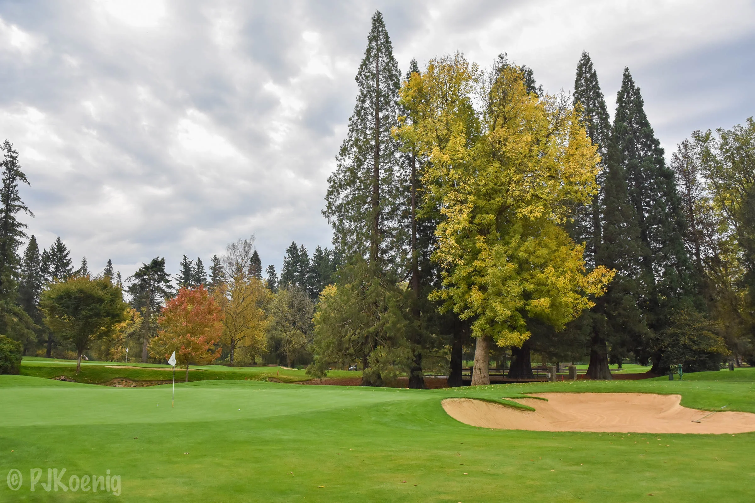 Portland Golf Club1-2.jpg