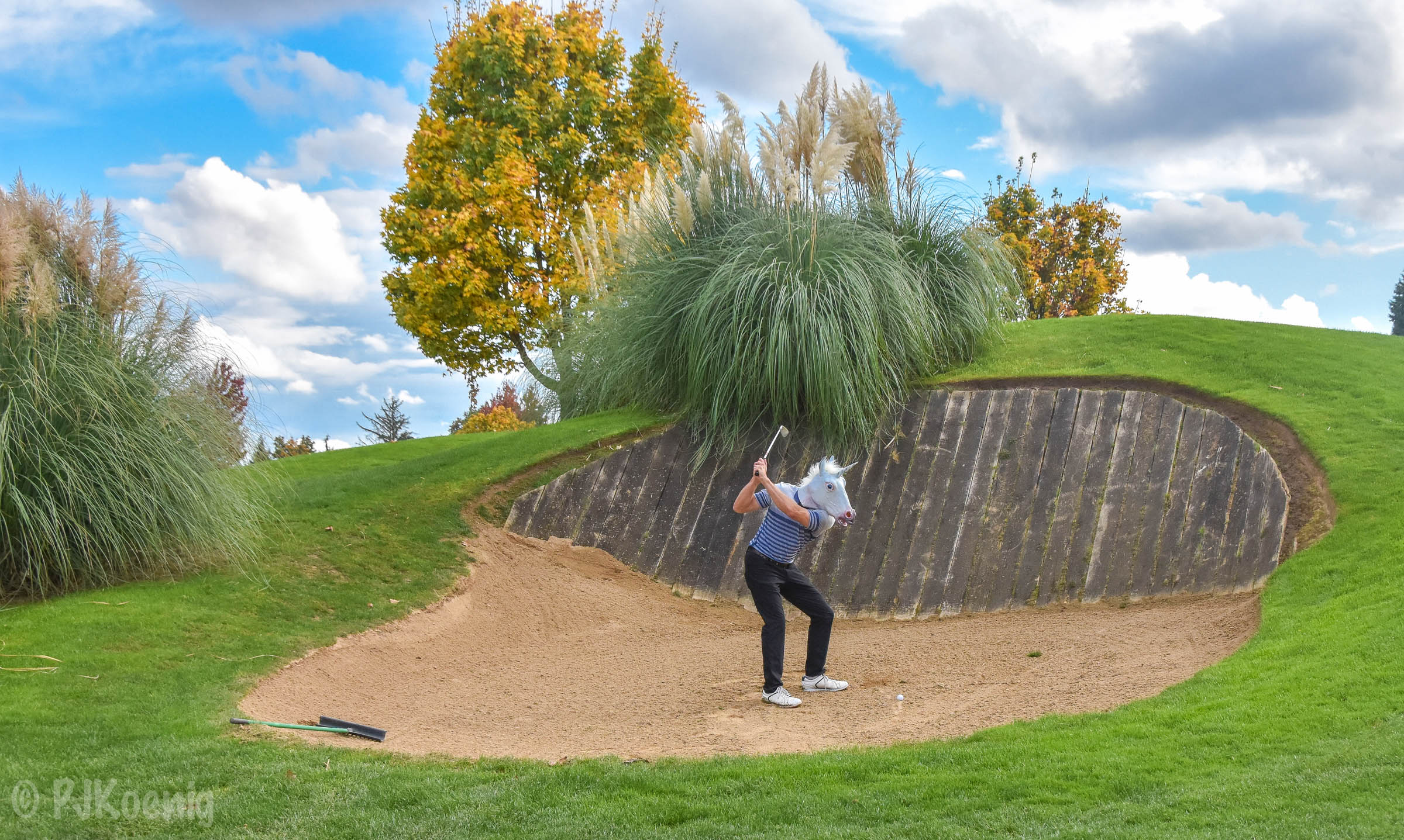 Golf Unicorn got in 36 holes. 79, 75. Not bad for a unicorn.