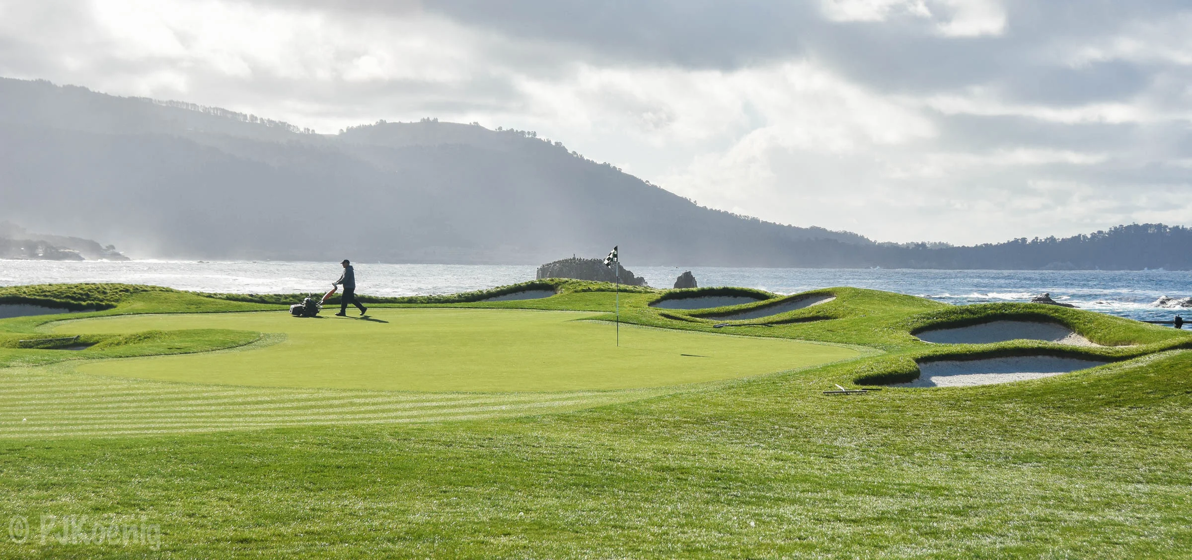 Pebble with Paige1-2.jpg