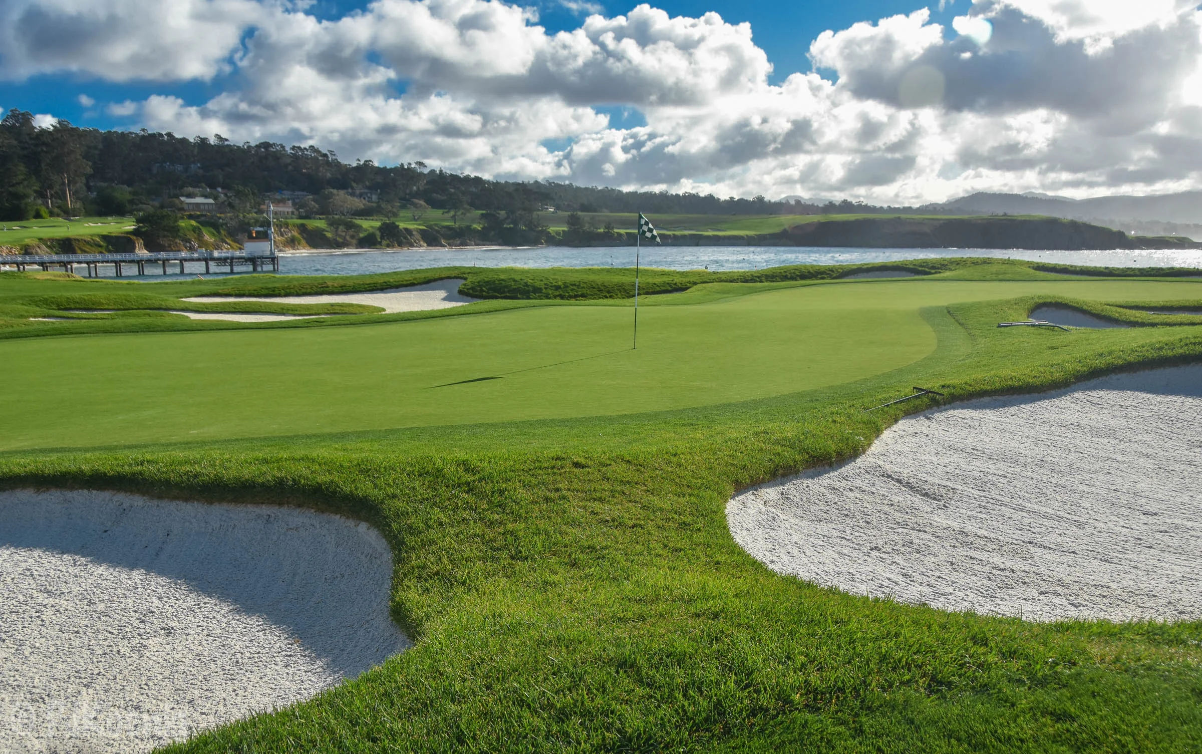 Pebble with Paige1-8.jpg