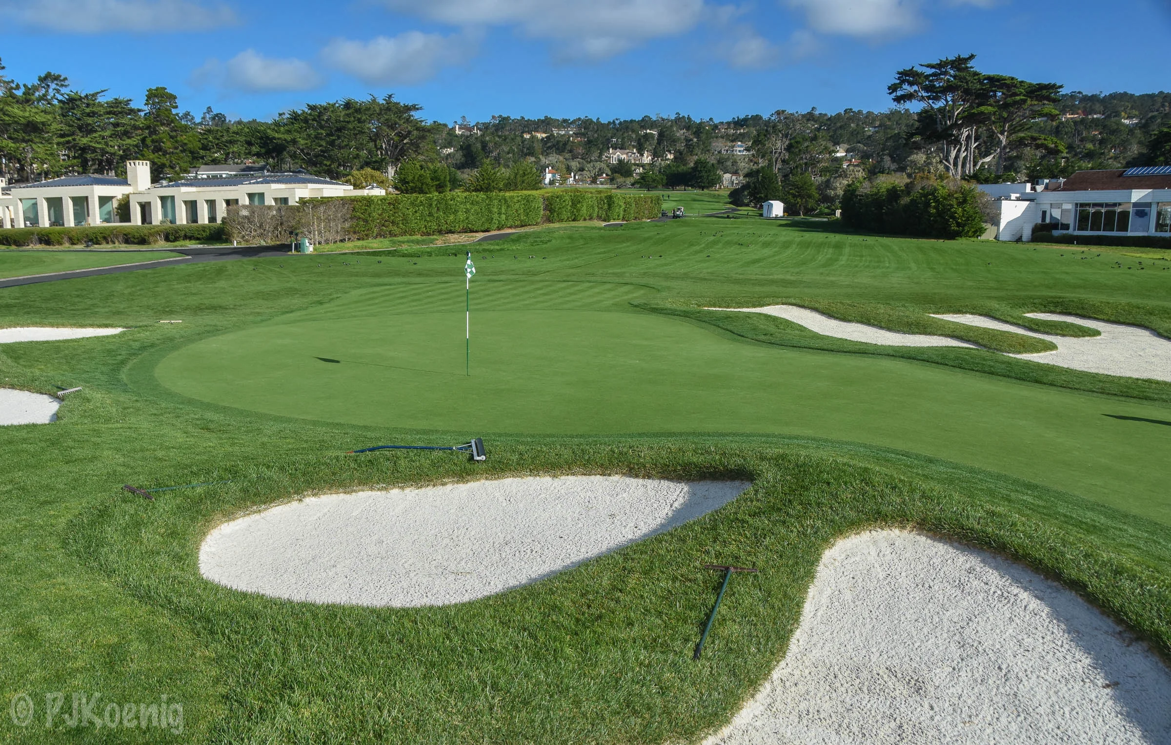 Pebble with Paige1-11.jpg