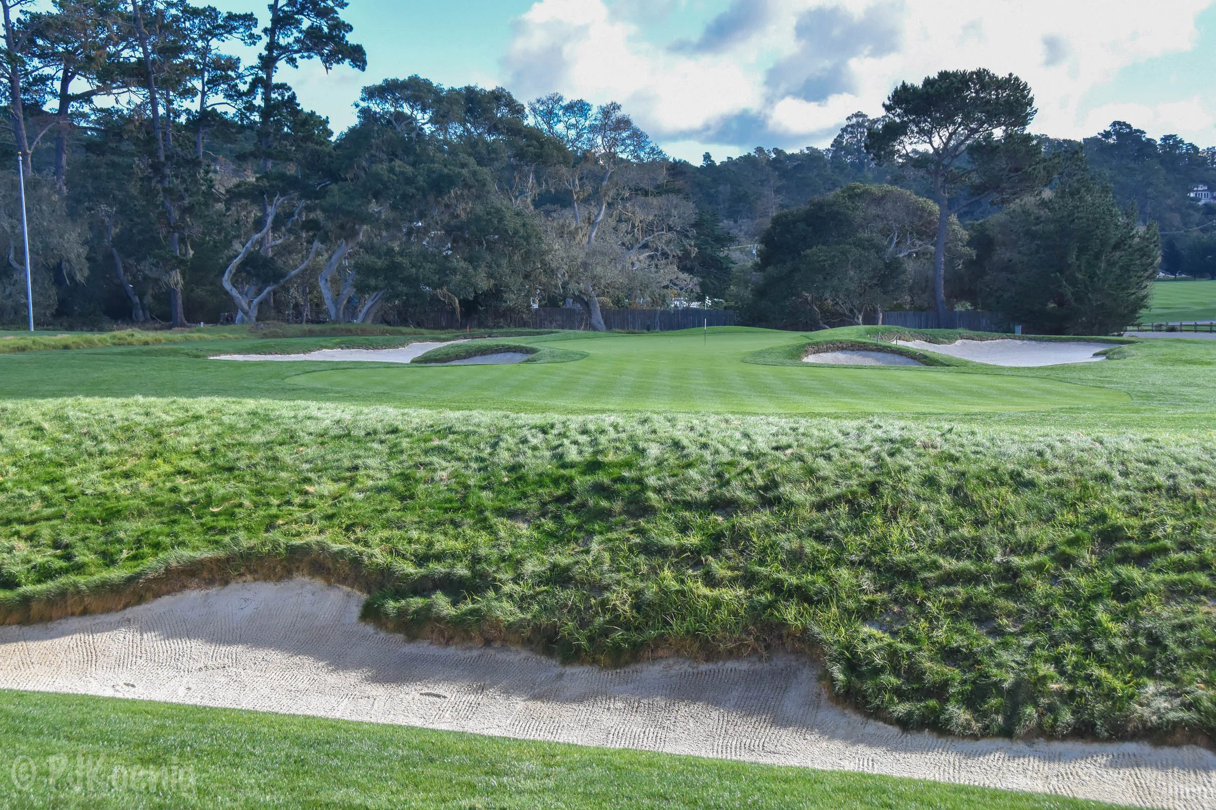 Pebble with Paige1-15.jpg