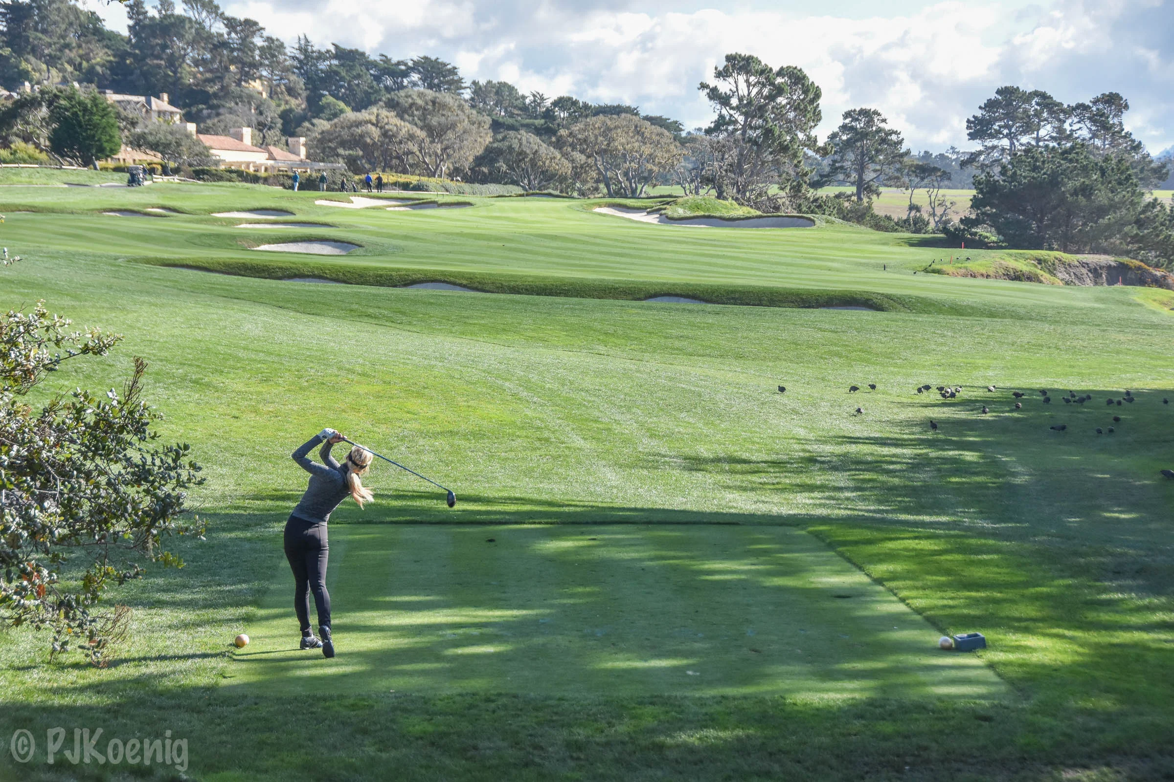 Pebble with Paige1-22 (1).jpg