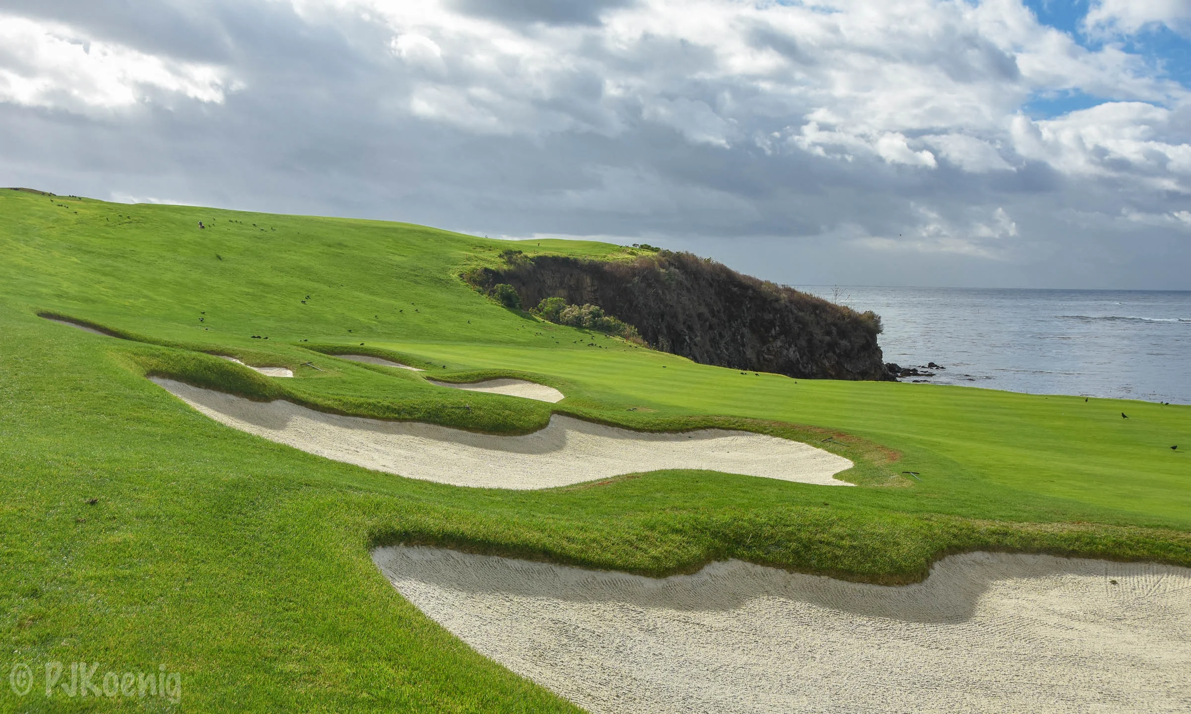 Pebble with Paige1-45.jpg