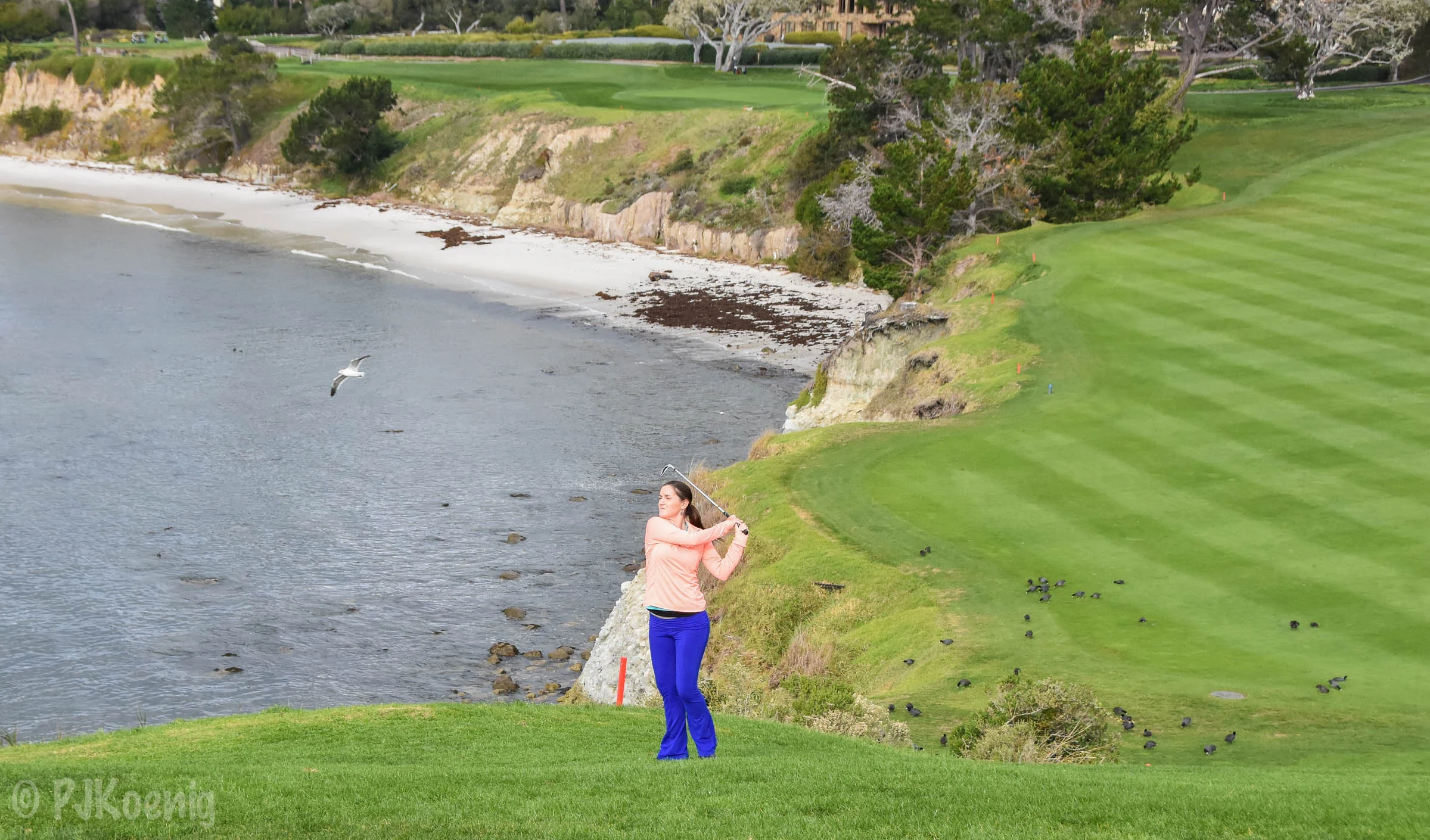 Pebble with Paige1-50.jpg