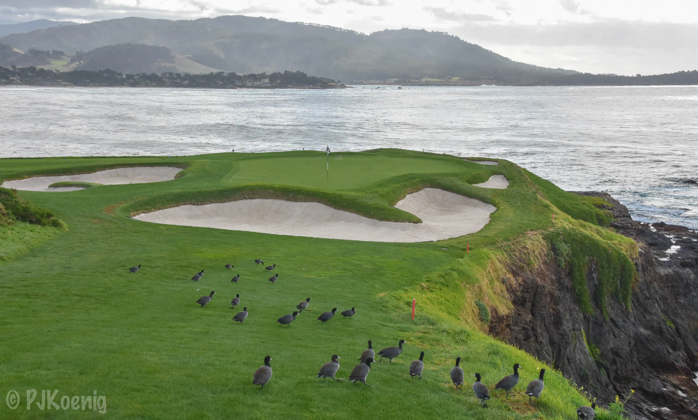 Pebble with Paige1-55.jpg