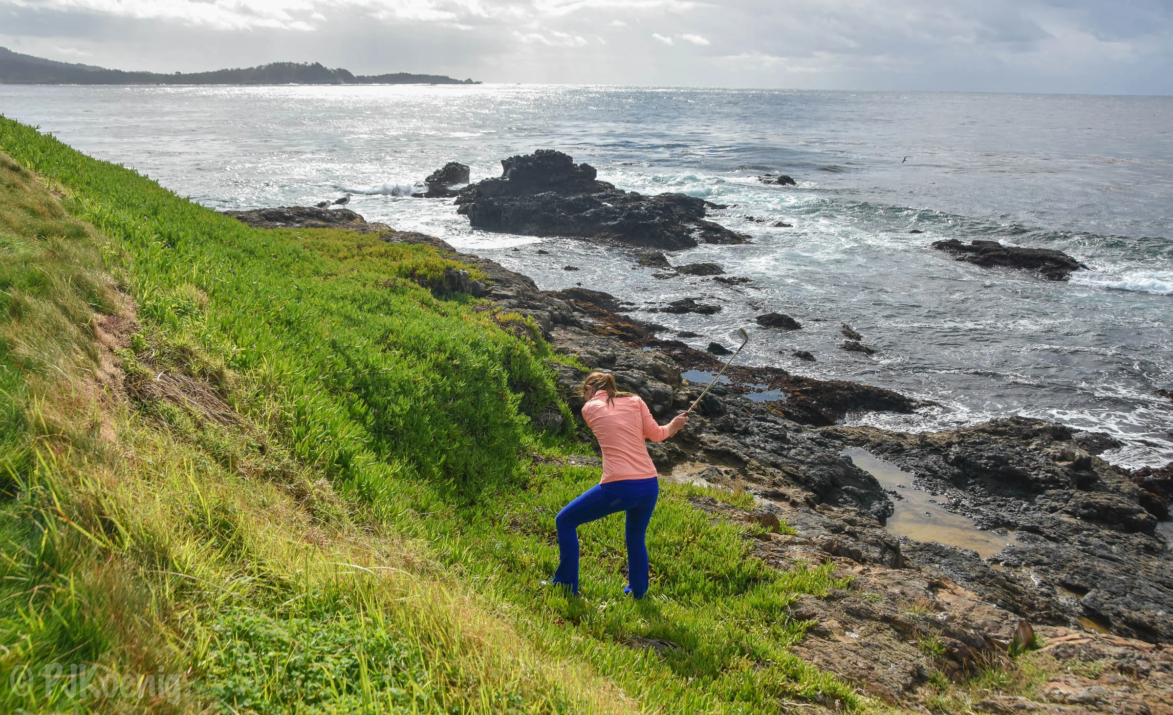 Pebble with Paige1-56.jpg