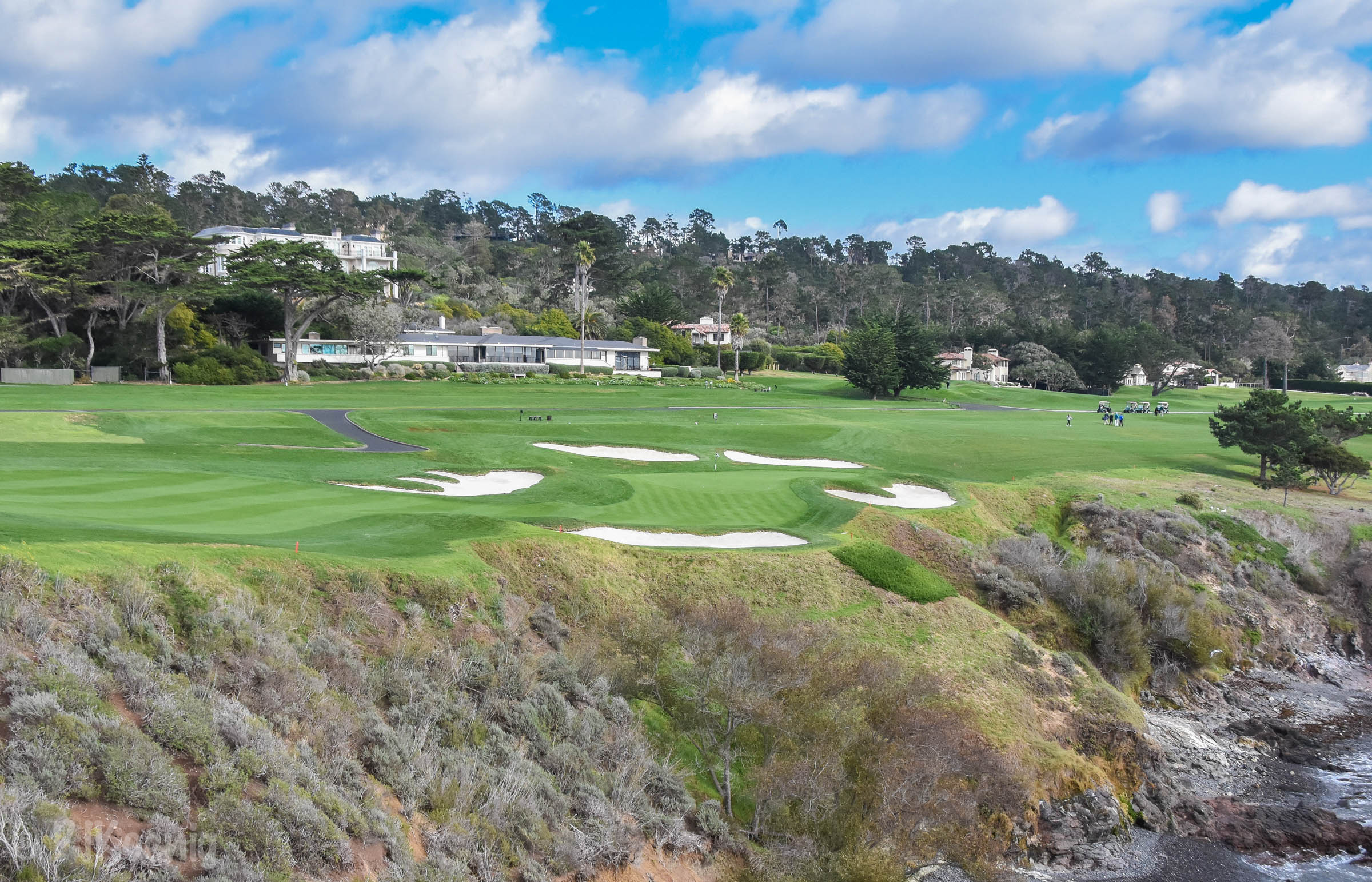 Pebble with Paige1-65 (1).jpg
