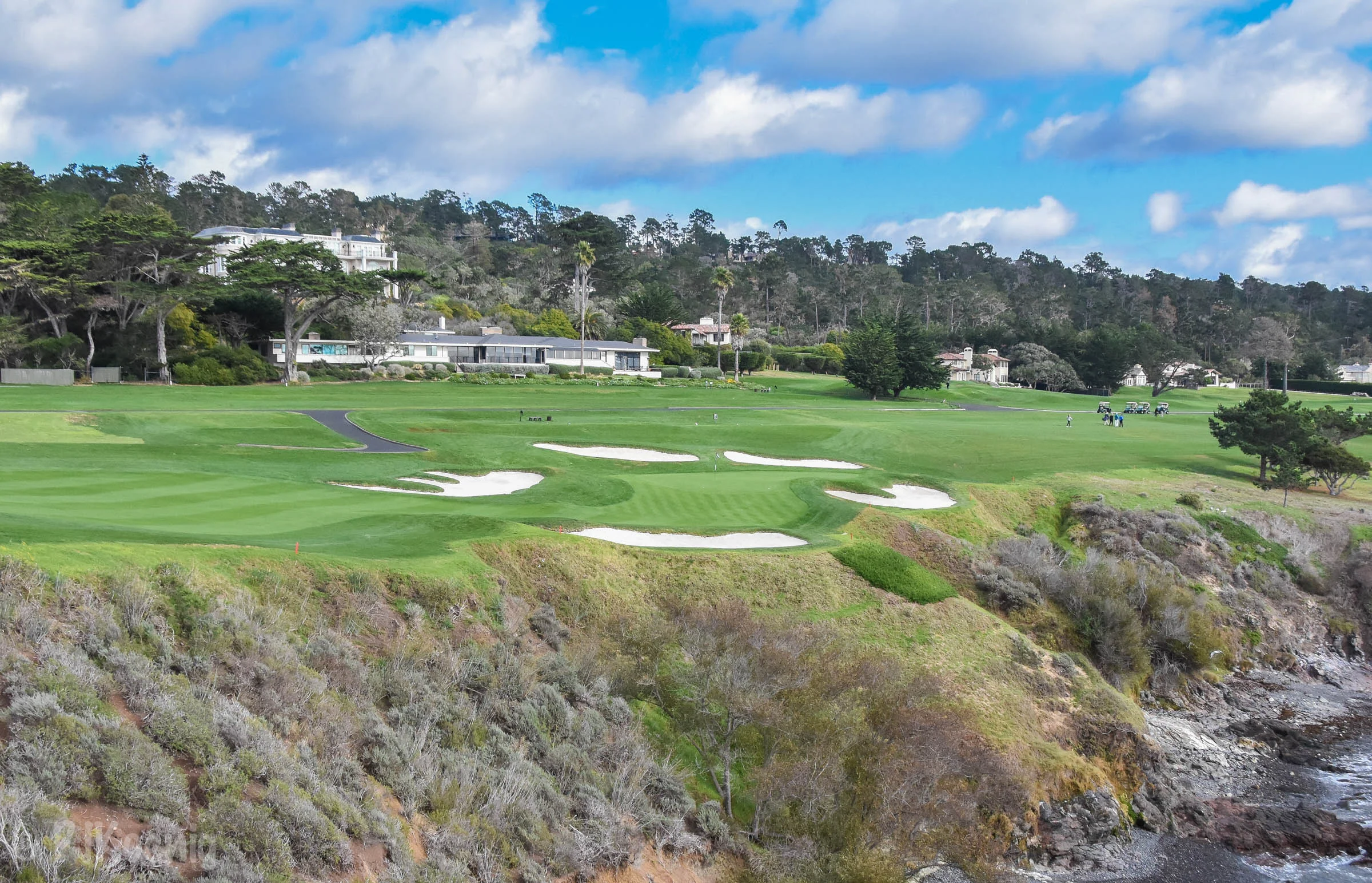 Pebble with Paige1-65.jpg