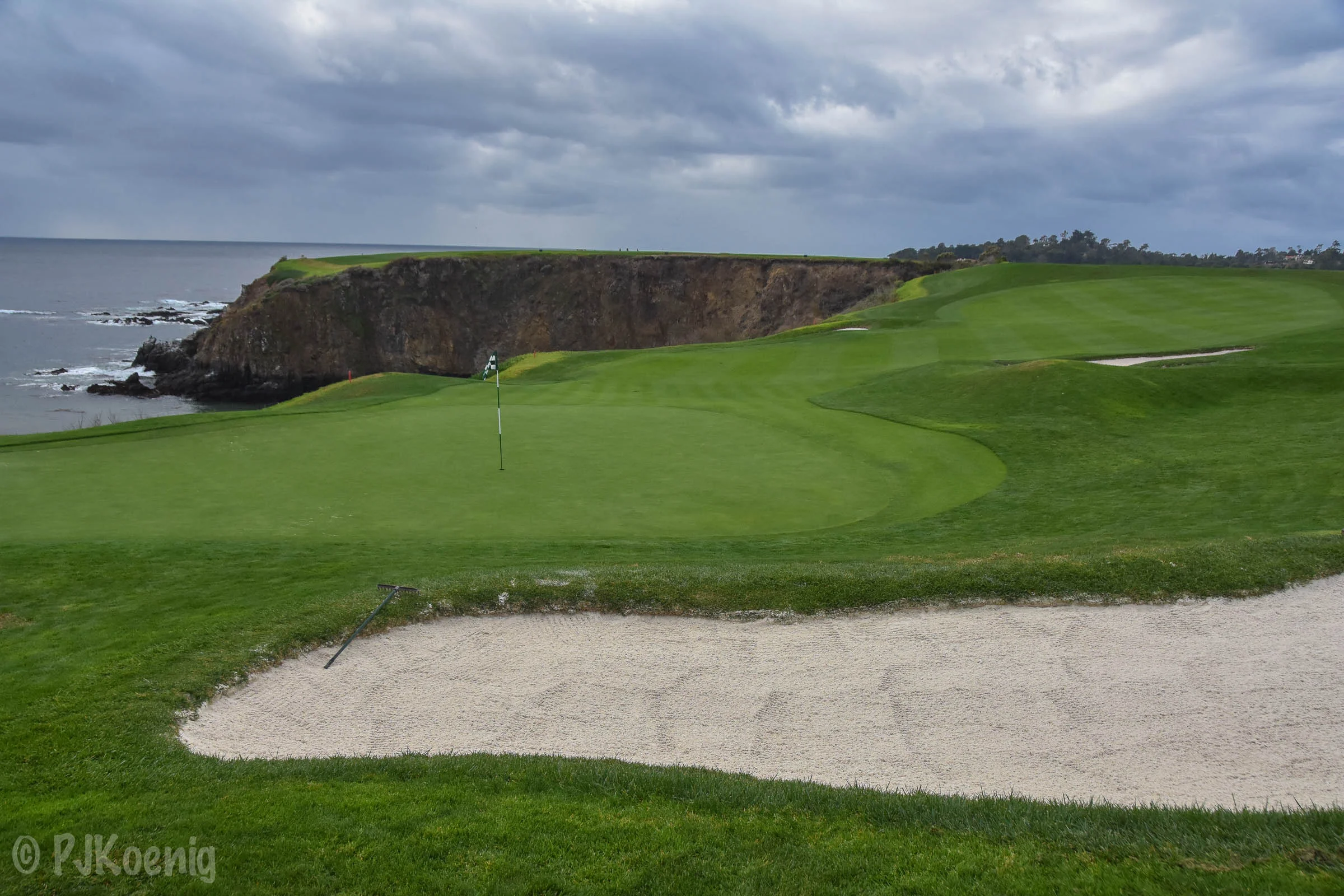 Pebble with Paige1-72.jpg