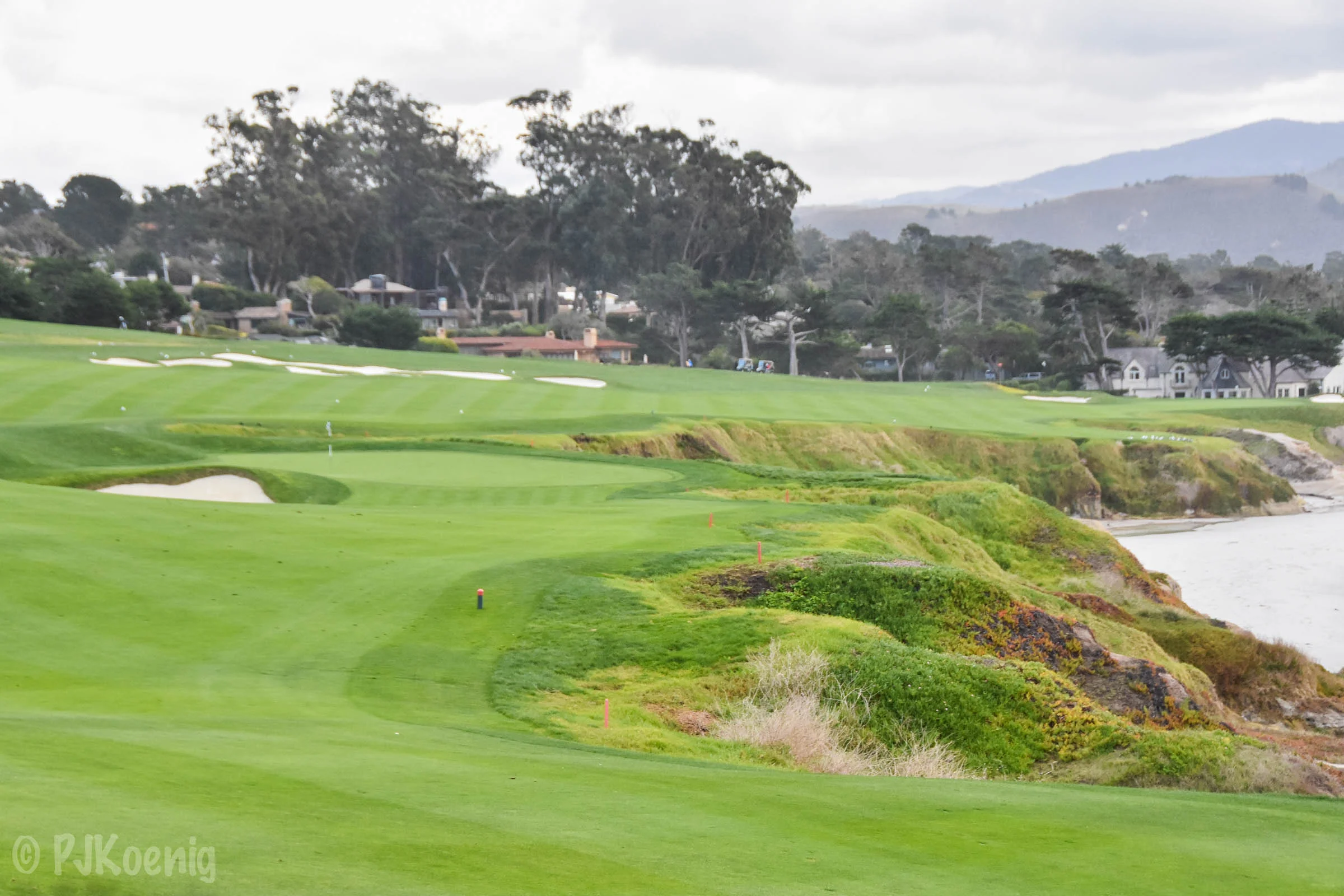 Pebble with Paige1-78.jpg