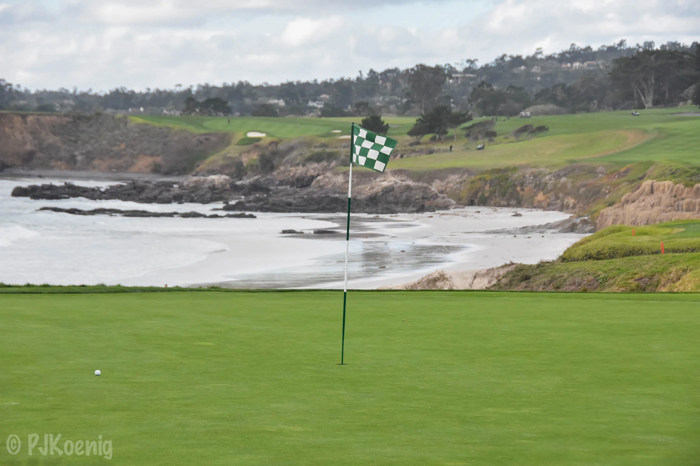 Pebble with Paige1-105.jpg