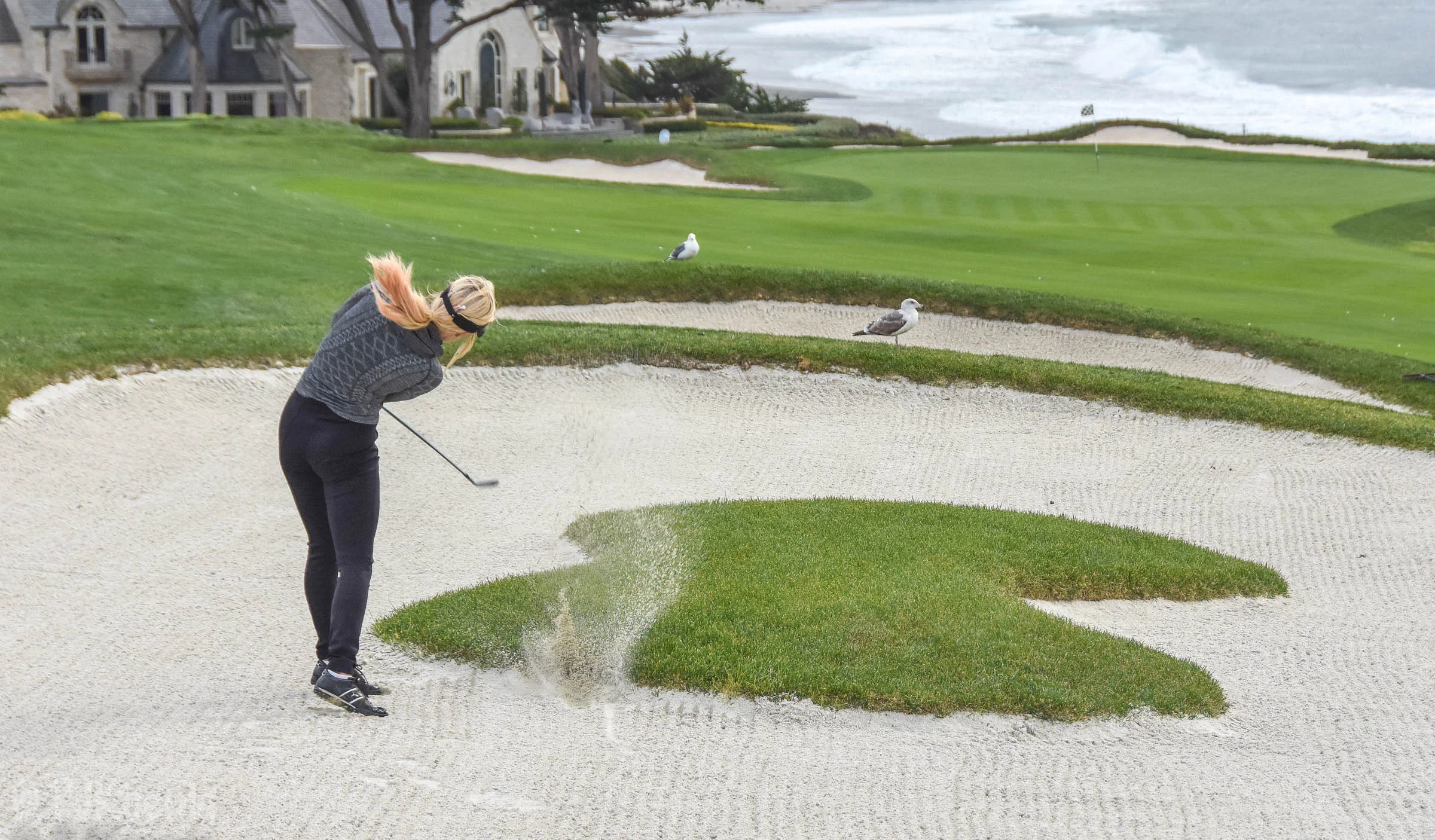 Pebble with Paige1-101.jpg