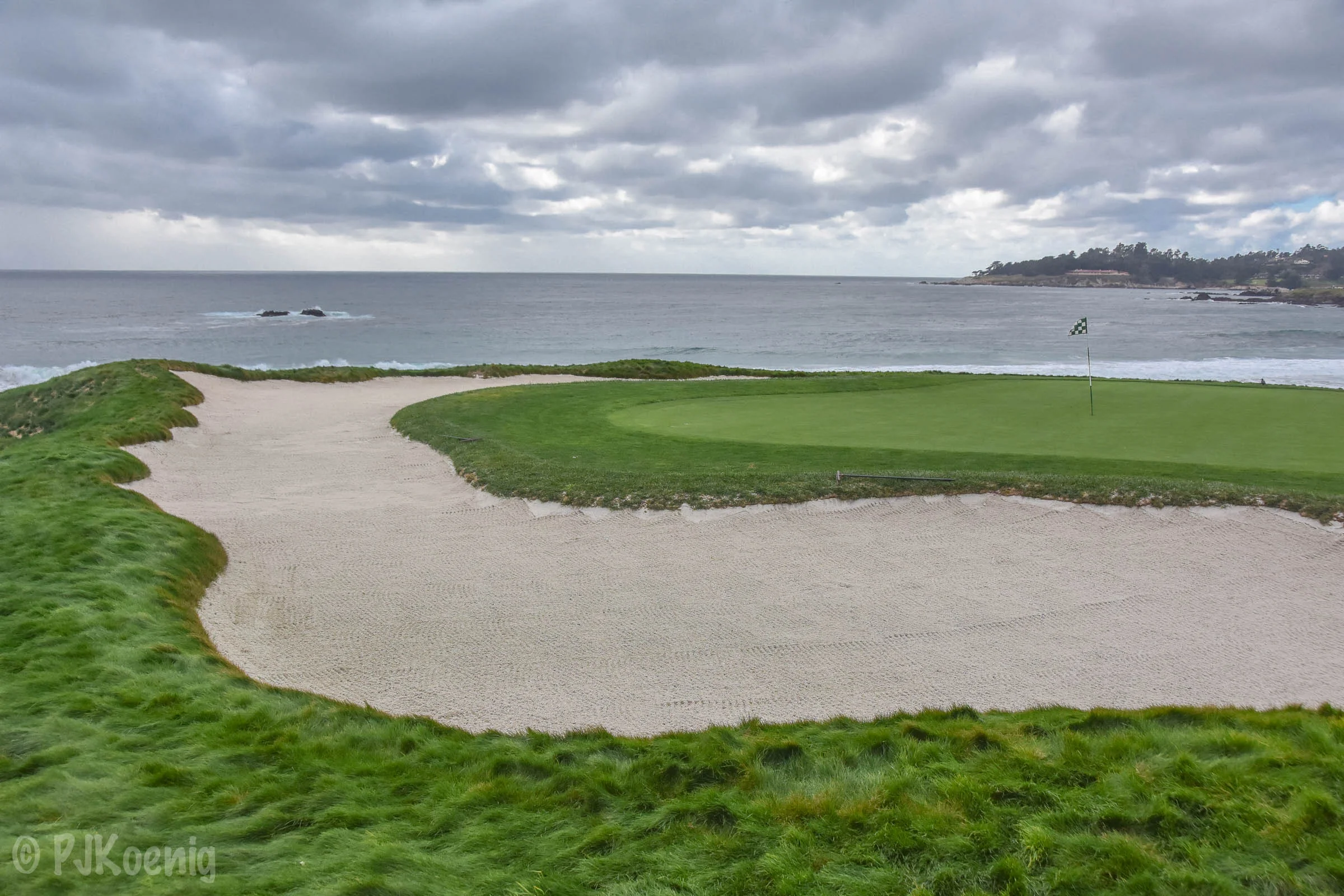 Pebble with Paige1-108.jpg