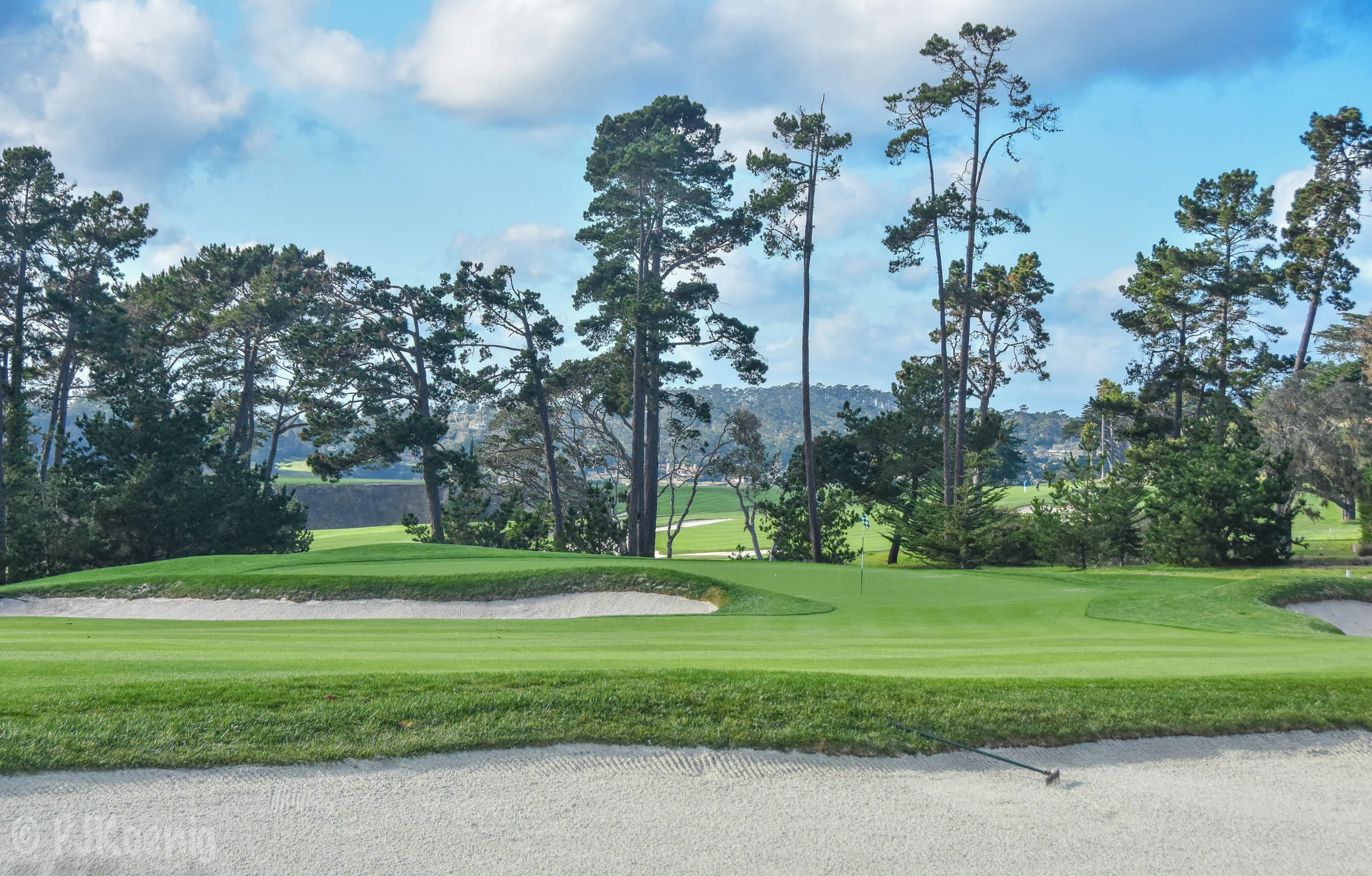 Pebble with Paige1-113 (1).jpg
