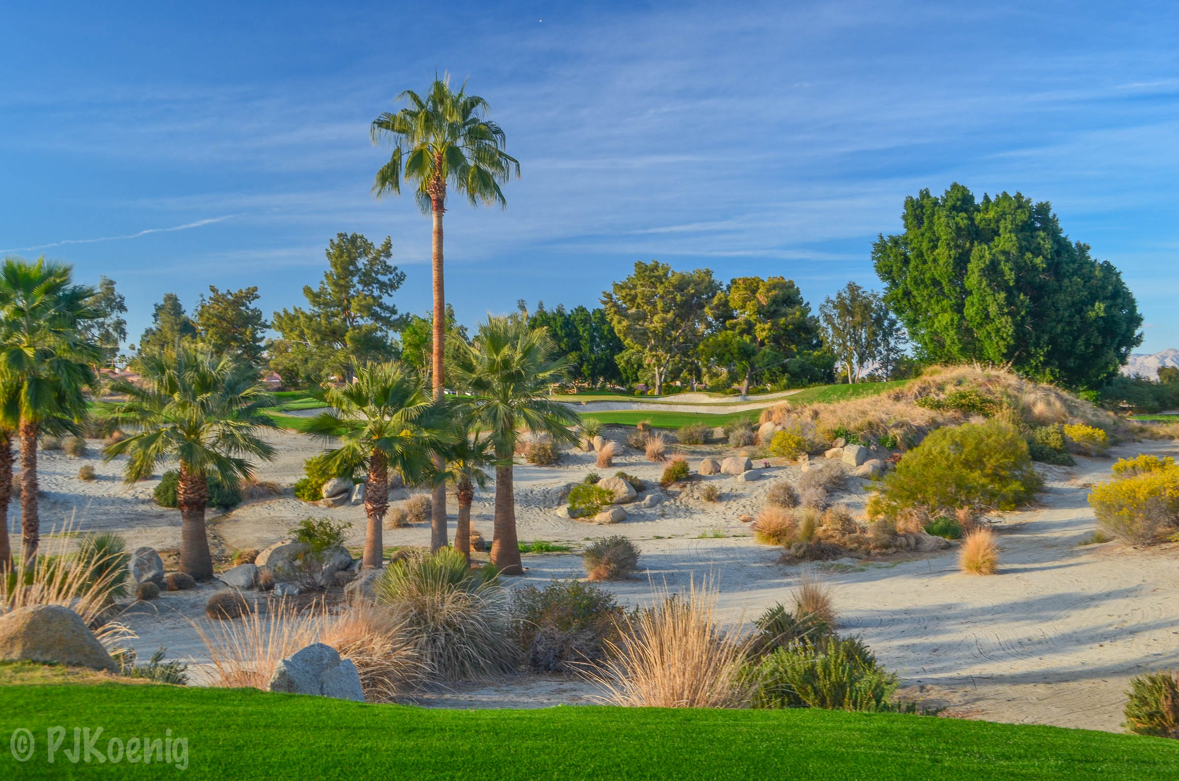 Indian Wells1-17.jpg