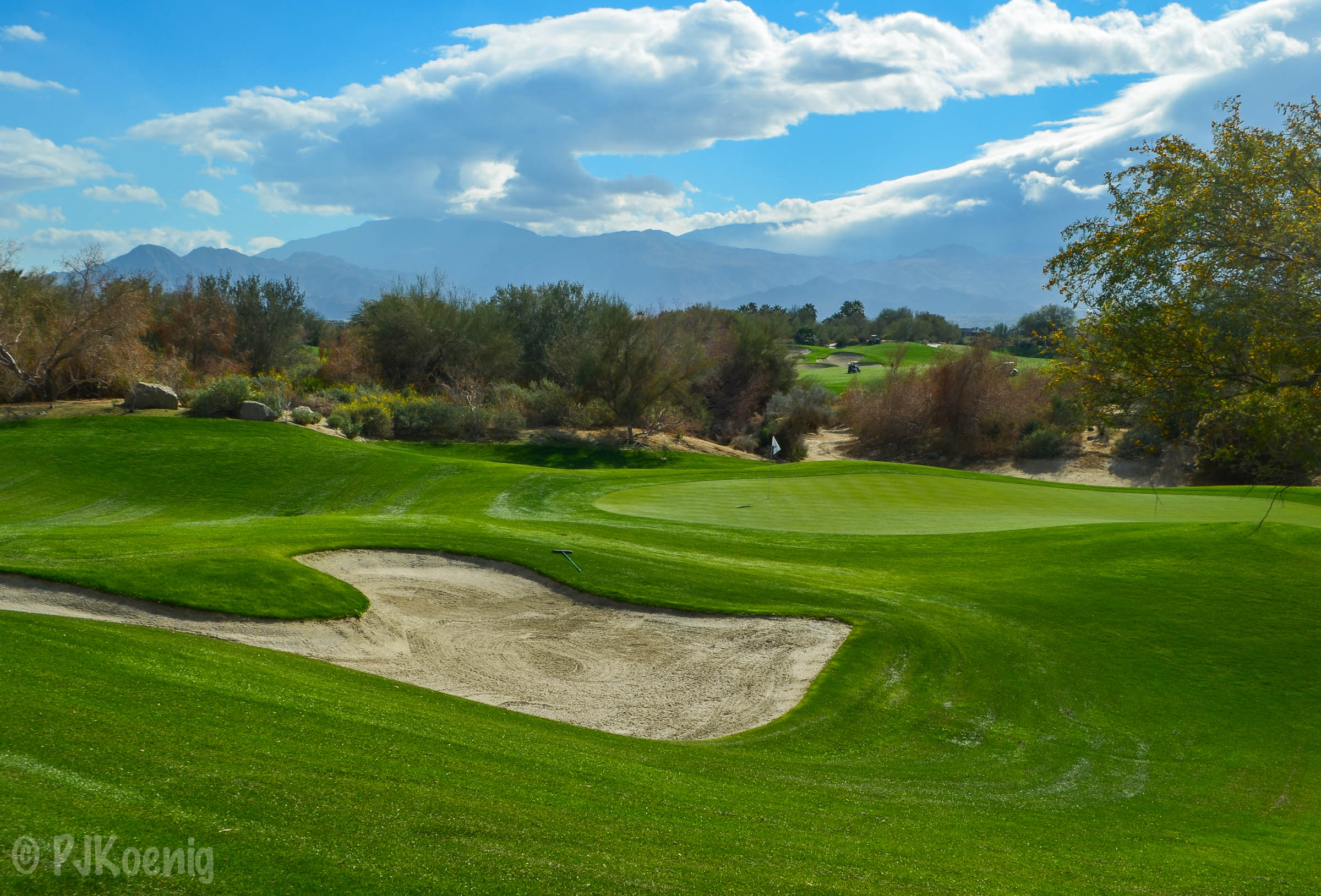 Desert Willow FireCliff1-5.jpg