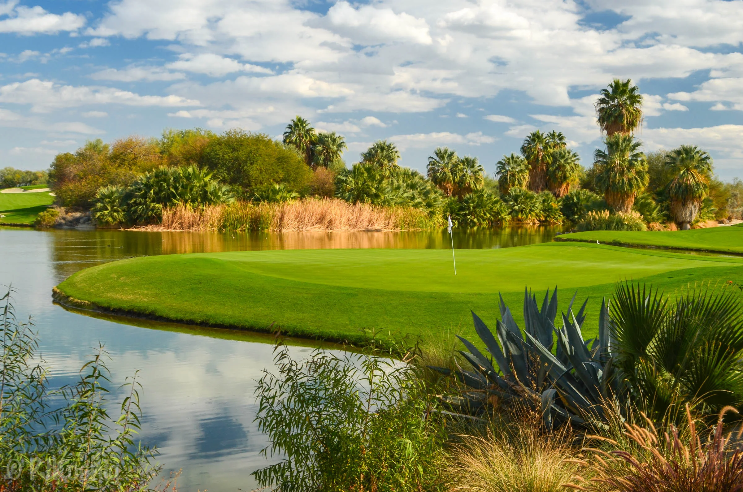 Desert Willow FireCliff1-11.jpg