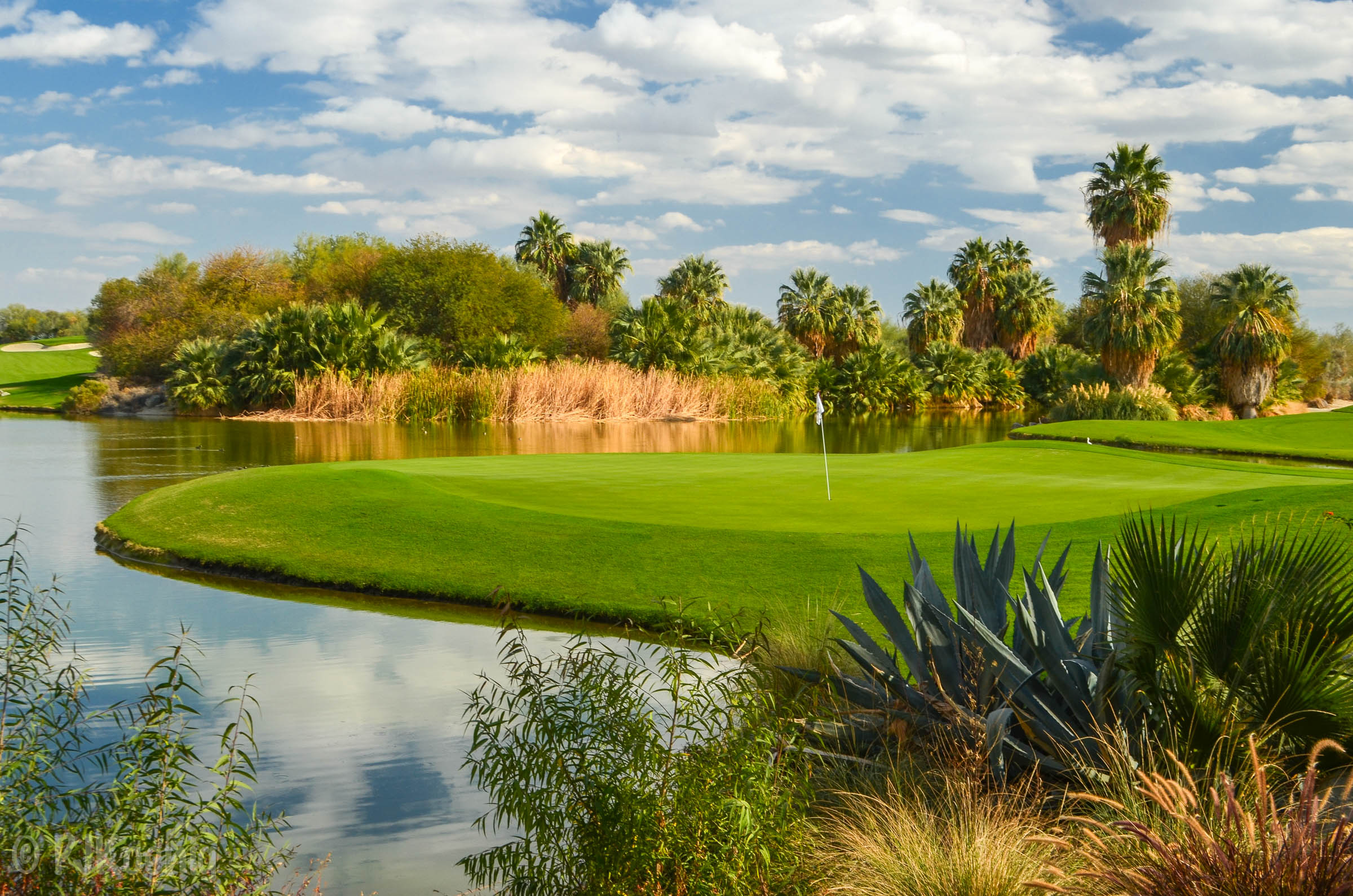 Desert Willow FireCliff1-11.jpg