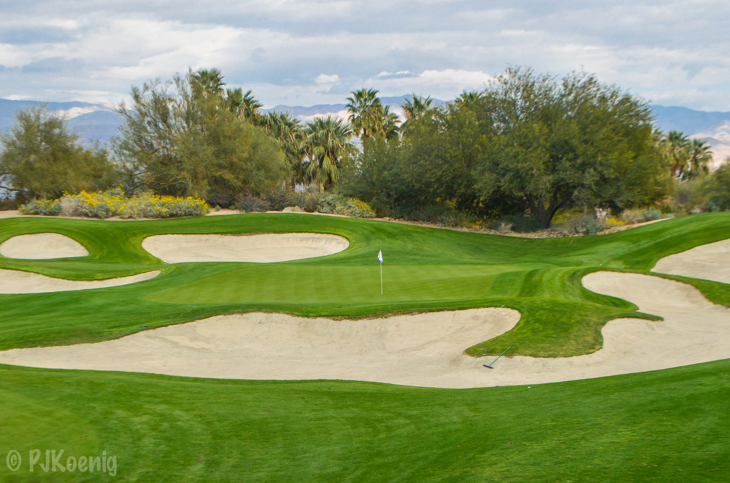 Desert Willow FireCliff1-13.jpg