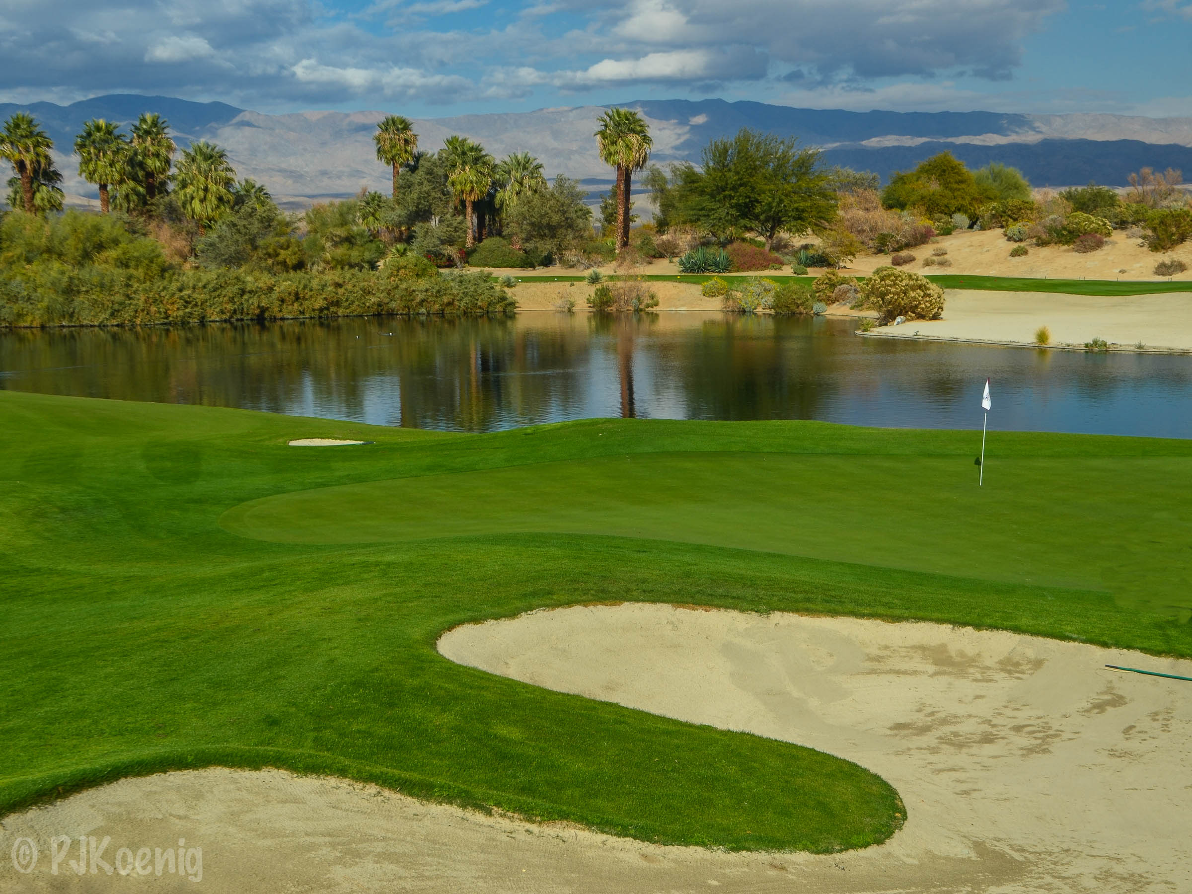Desert Willow FireCliff1-17.jpg
