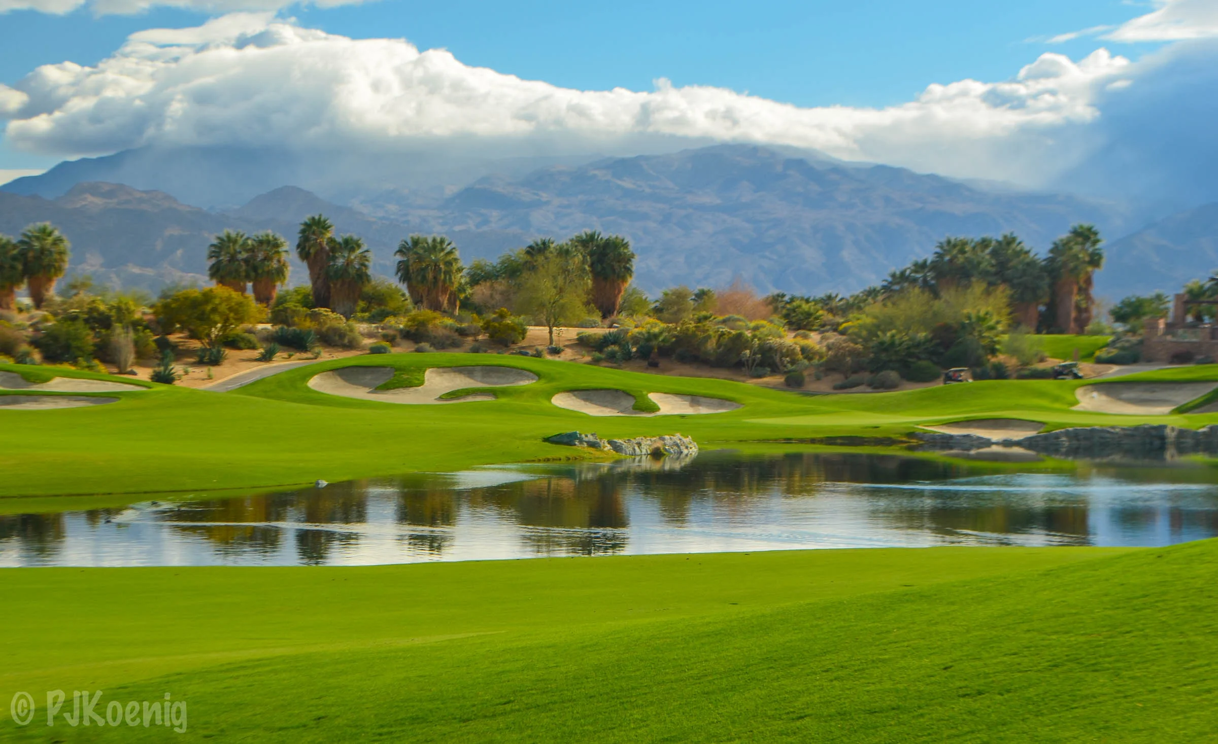 Desert Willow FireCliff1-18.jpg