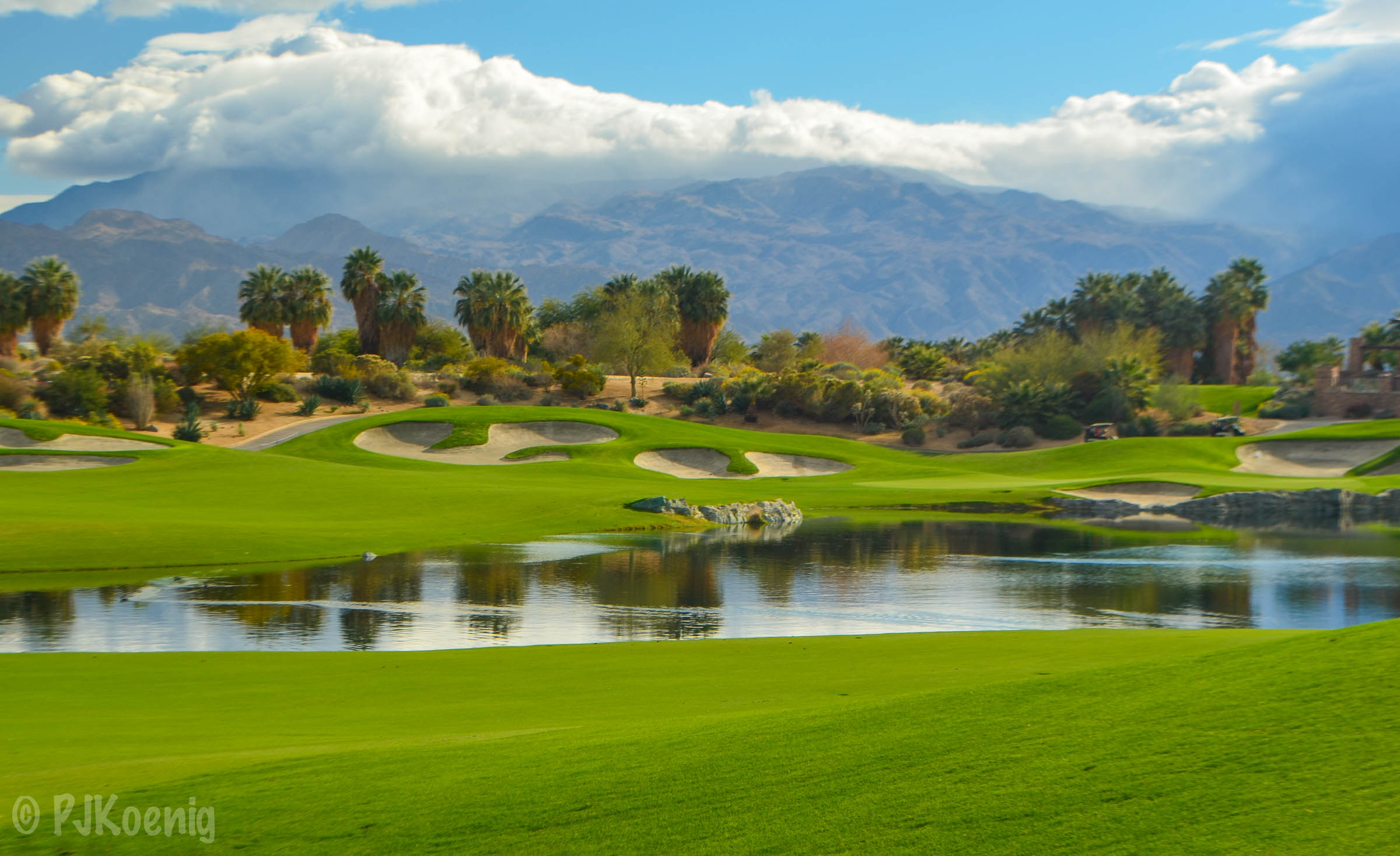 Desert Willow FireCliff1-18.jpg