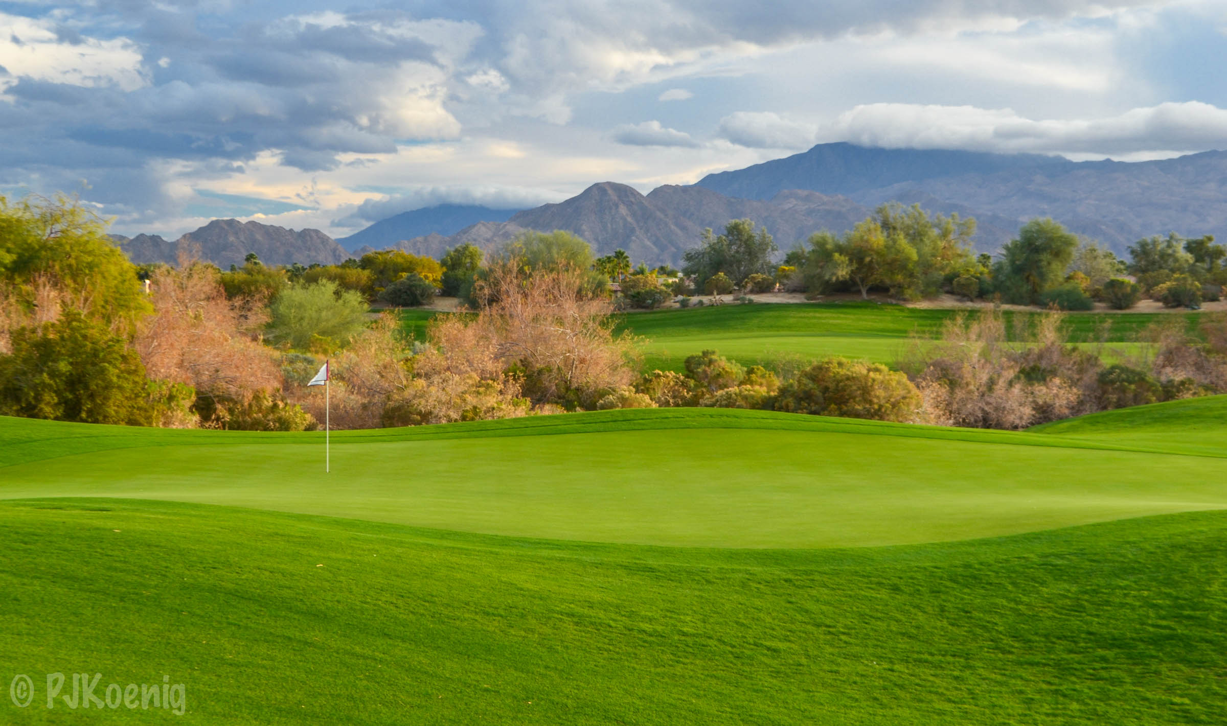 Desert Willow FireCliff1-33.jpg
