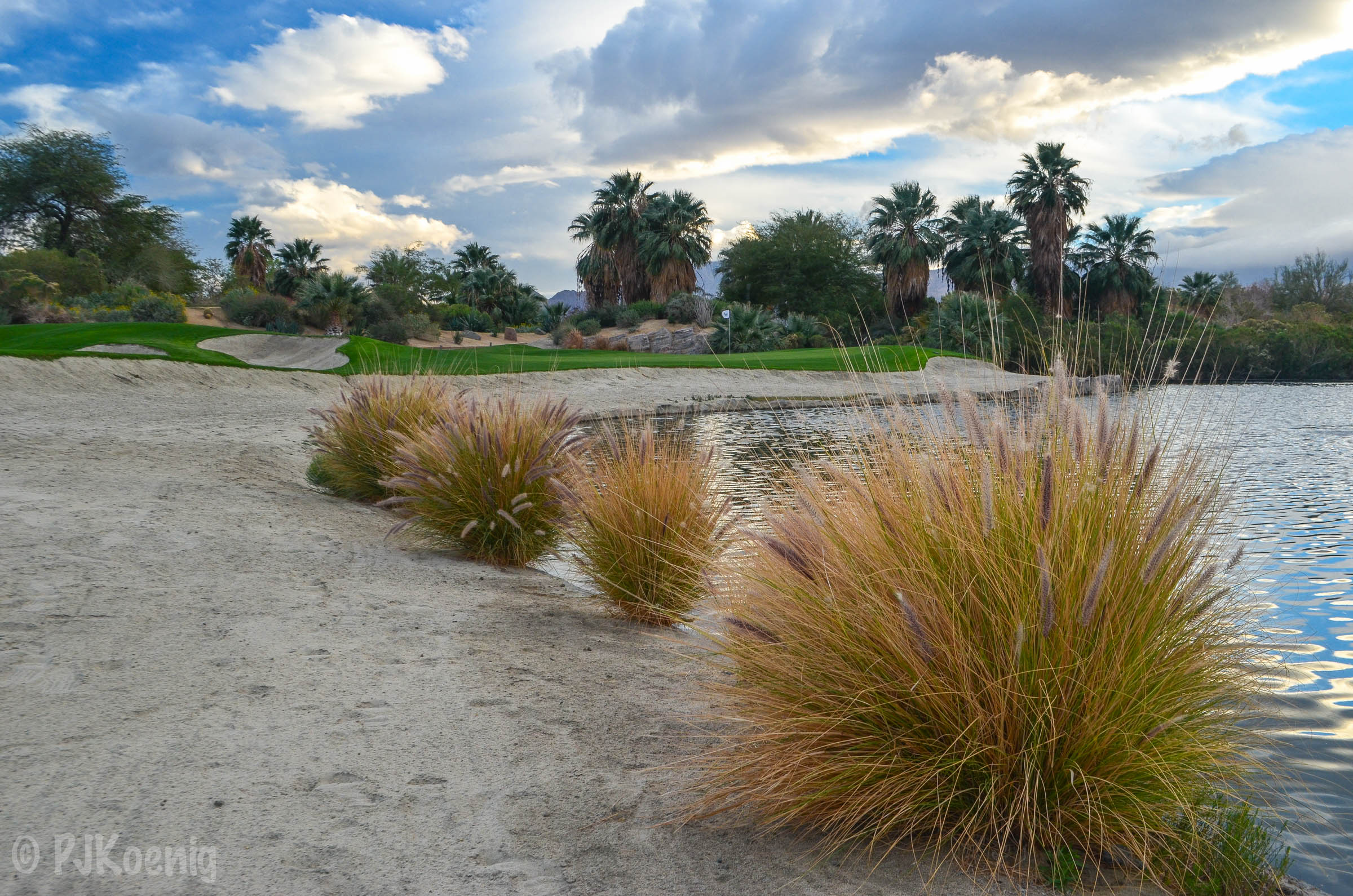 Desert Willow FireCliff1-41.jpg