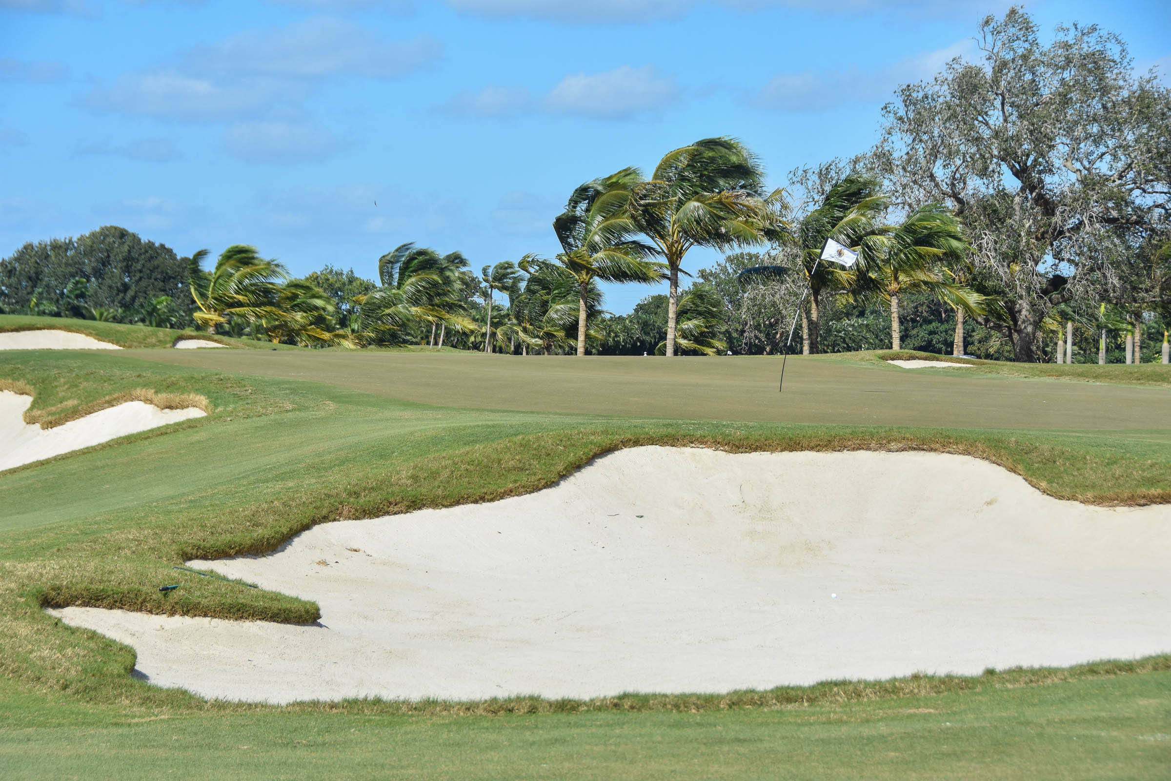 Doral Blue Monster1-9.jpg