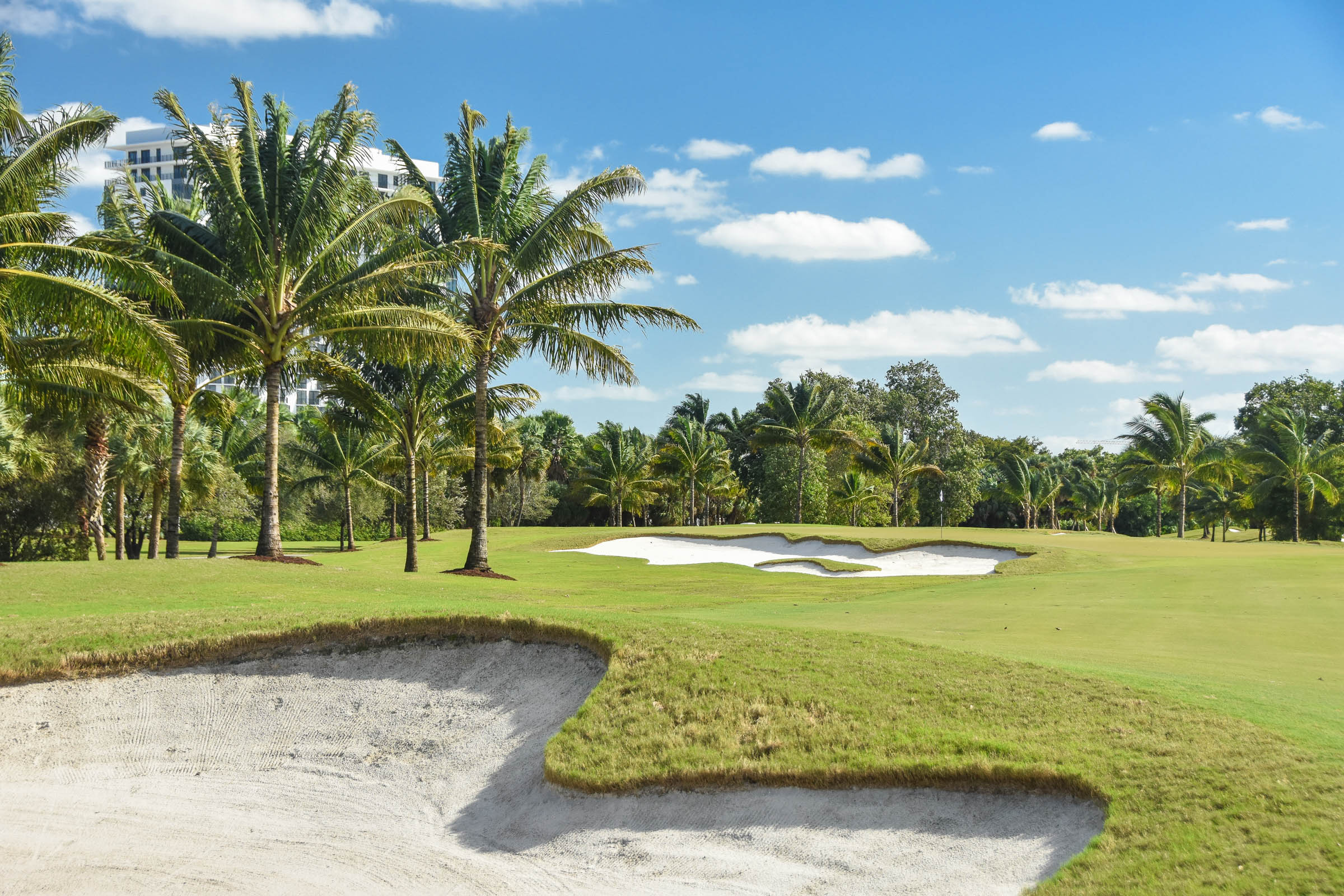Doral Blue Monster1-17.jpg
