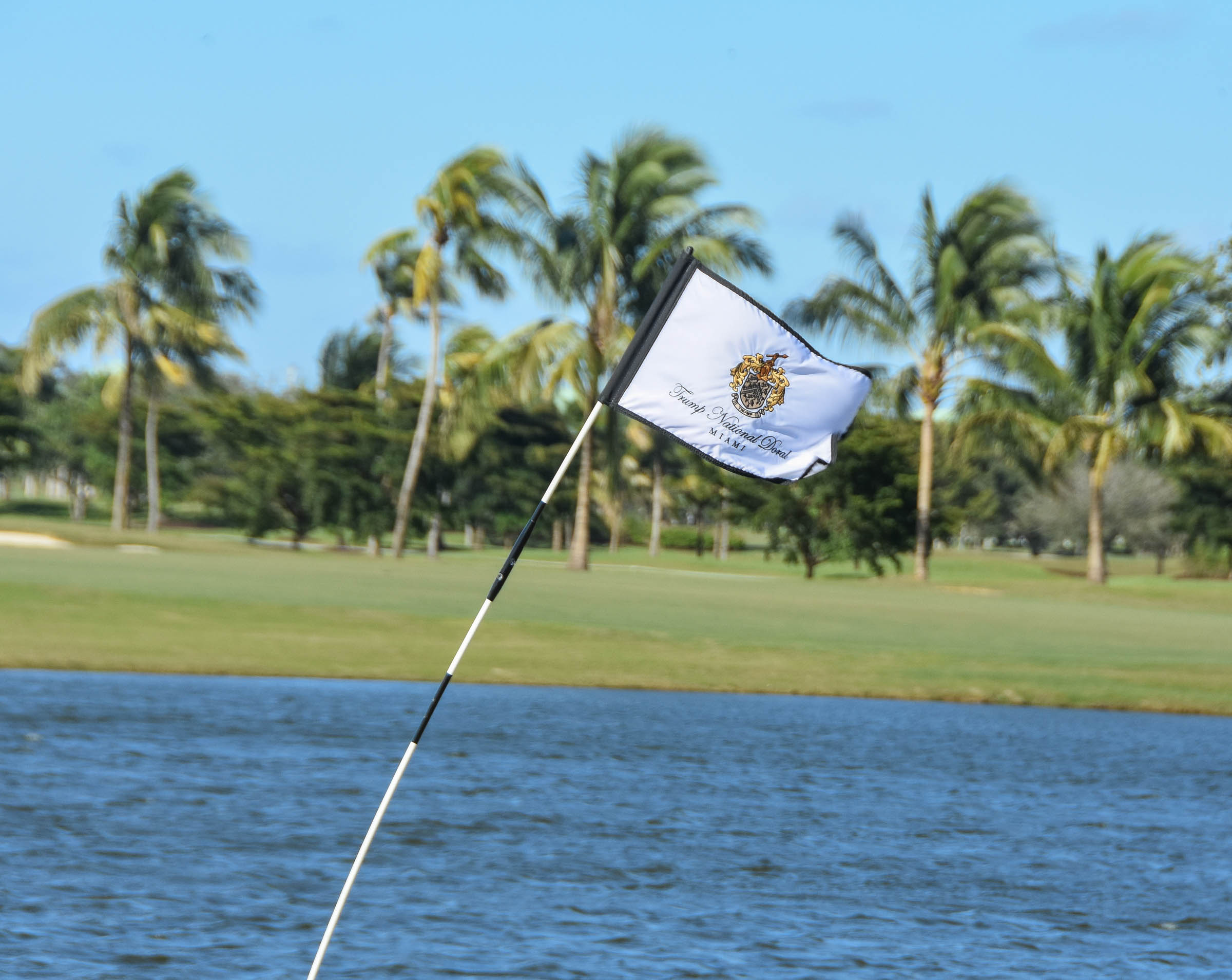 Doral Blue Monster1-26 (1).jpg